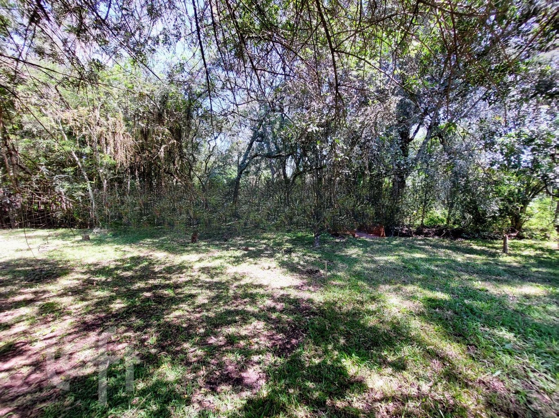 Imagem da propriedade 37