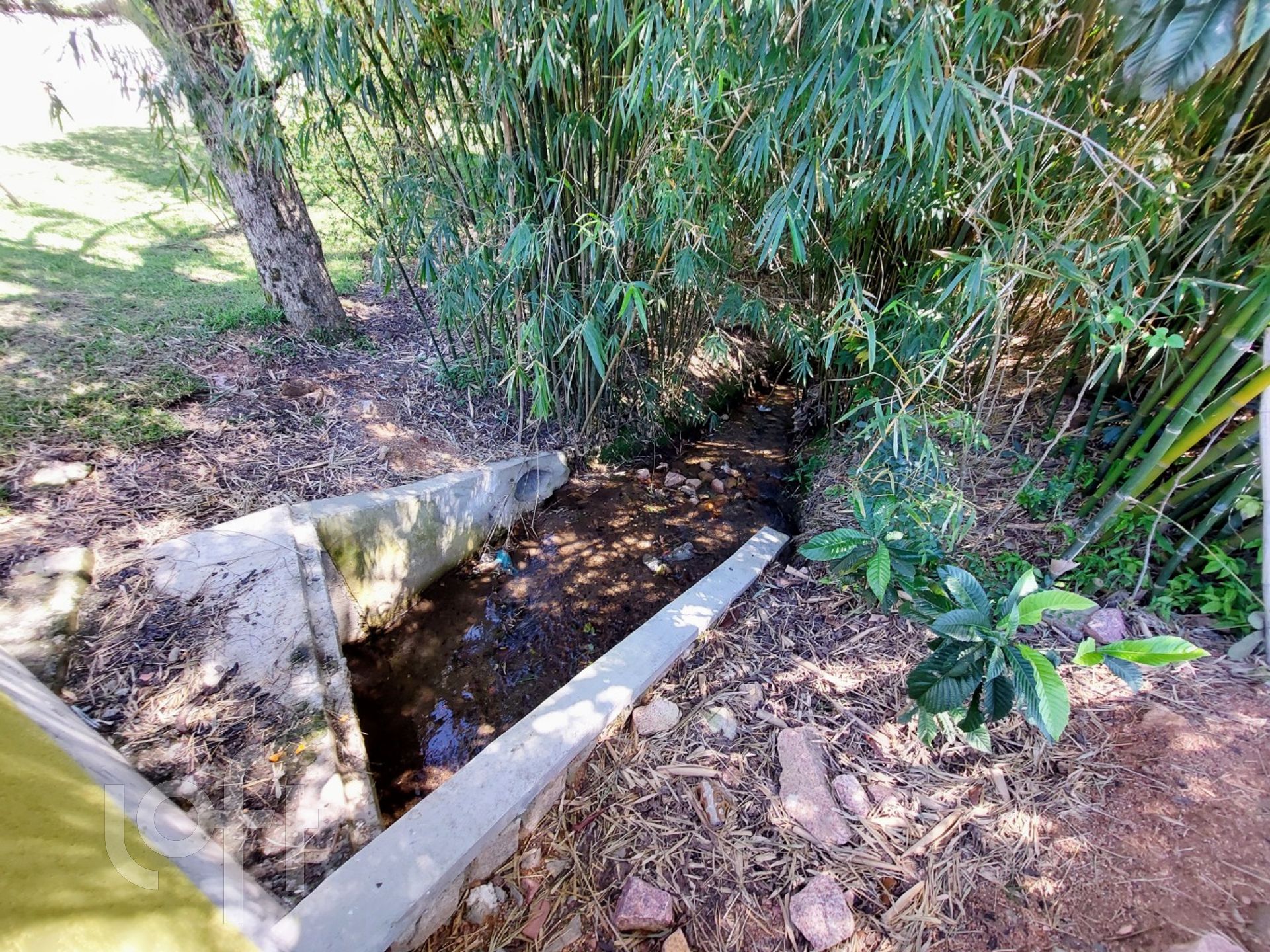 Imagem da propriedade 32