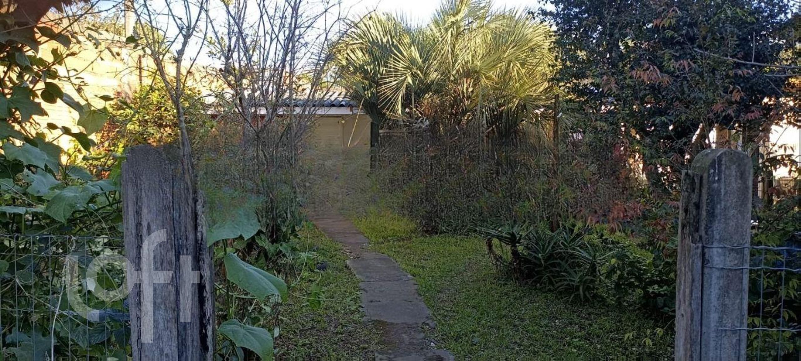 Imagem da propriedade 18