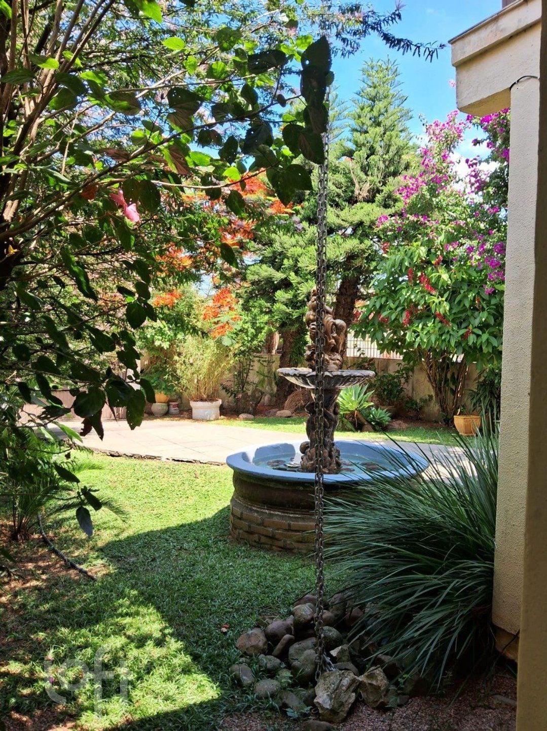 Imagem da propriedade 6