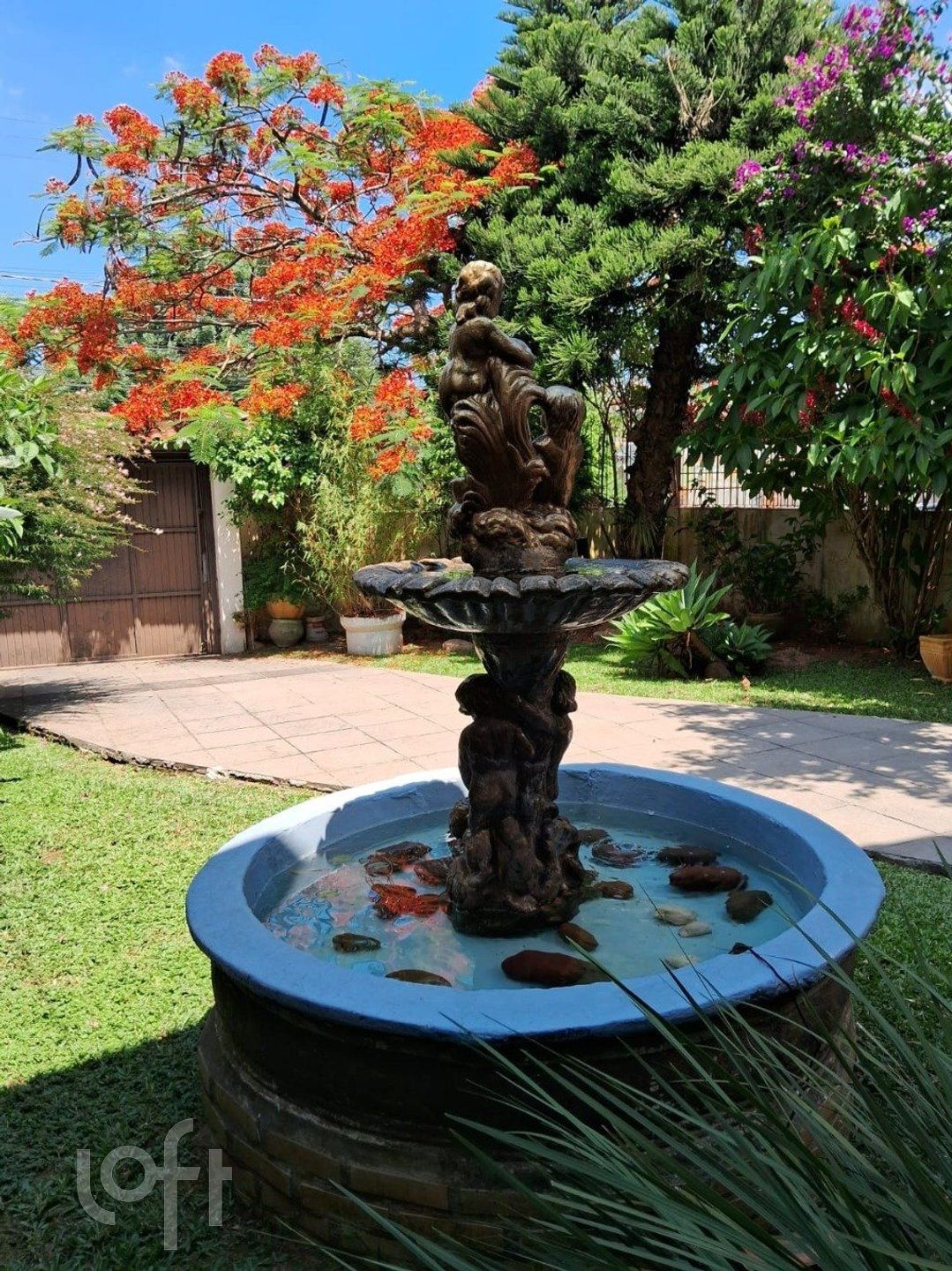 Imagem da propriedade 7