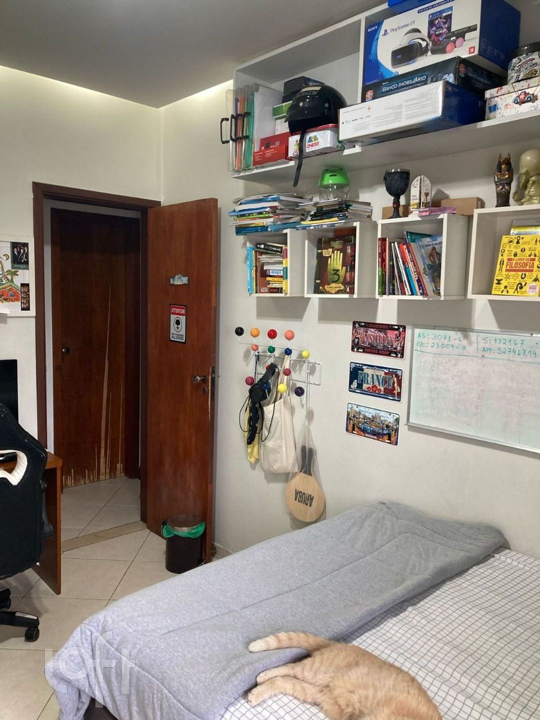 Imagem da propriedade 19