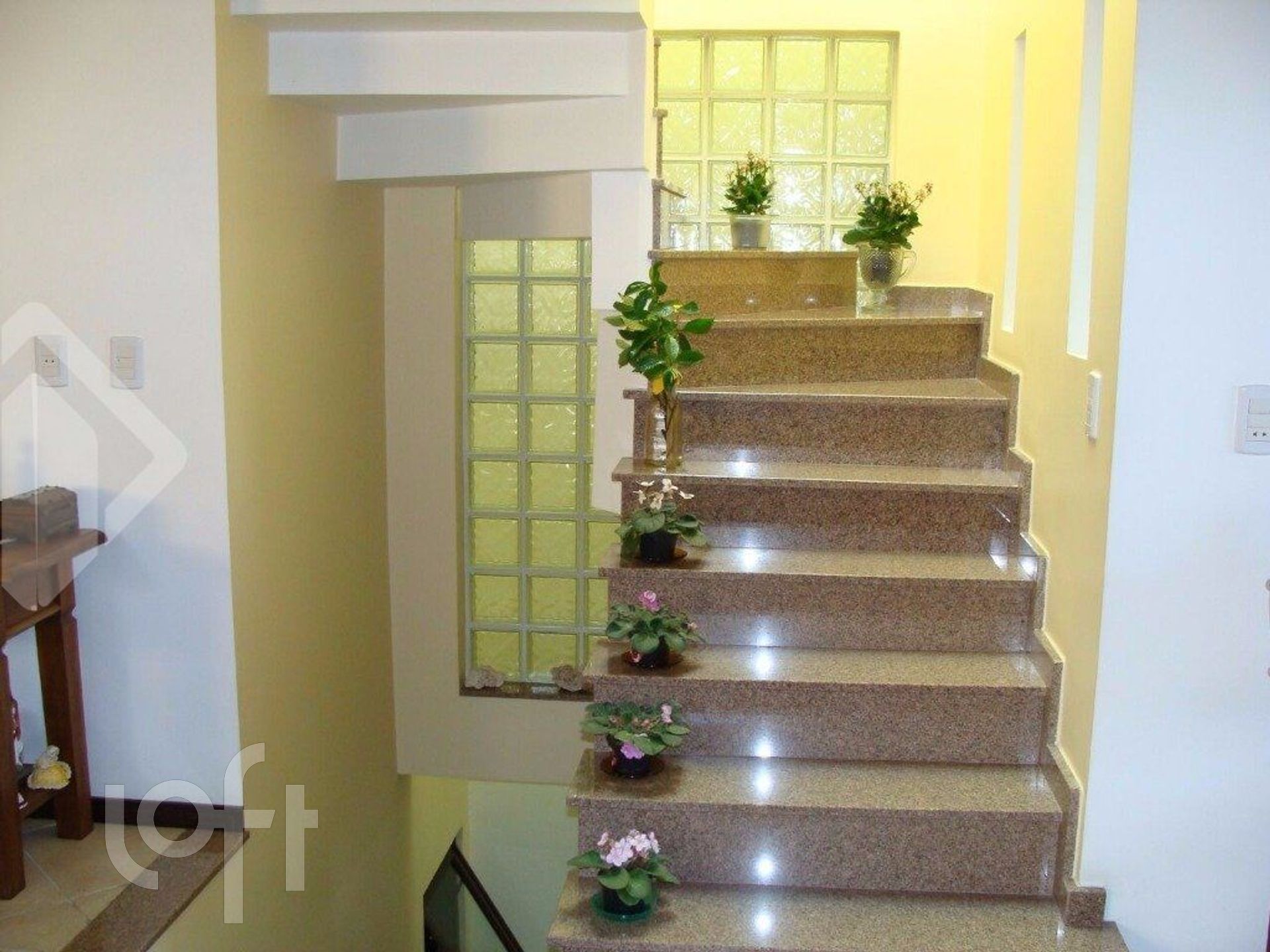 Imagem da propriedade 14