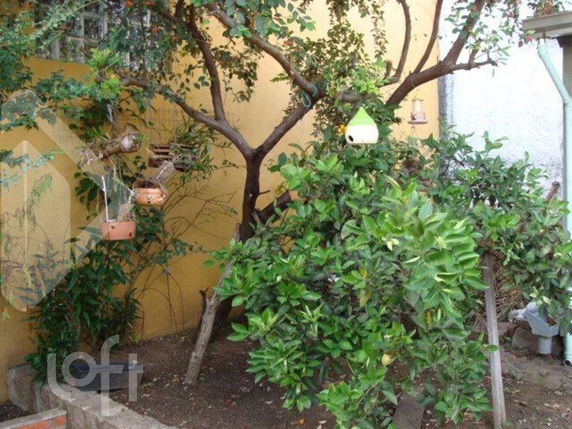 Imagem da propriedade 39