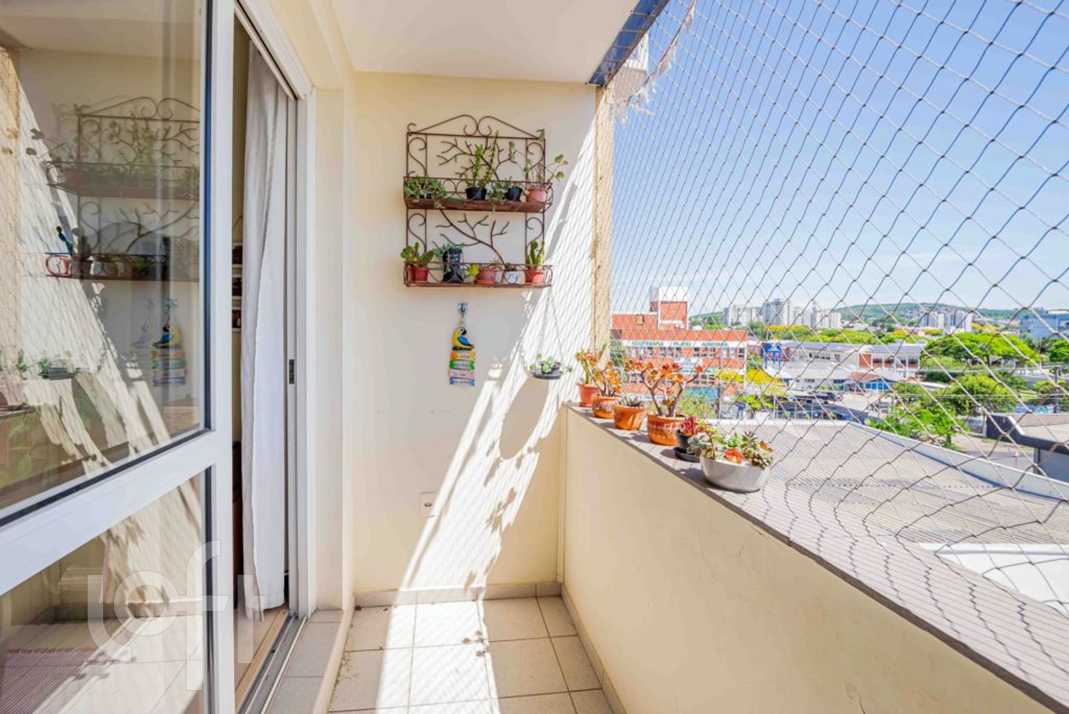 Imagem da propriedade 6