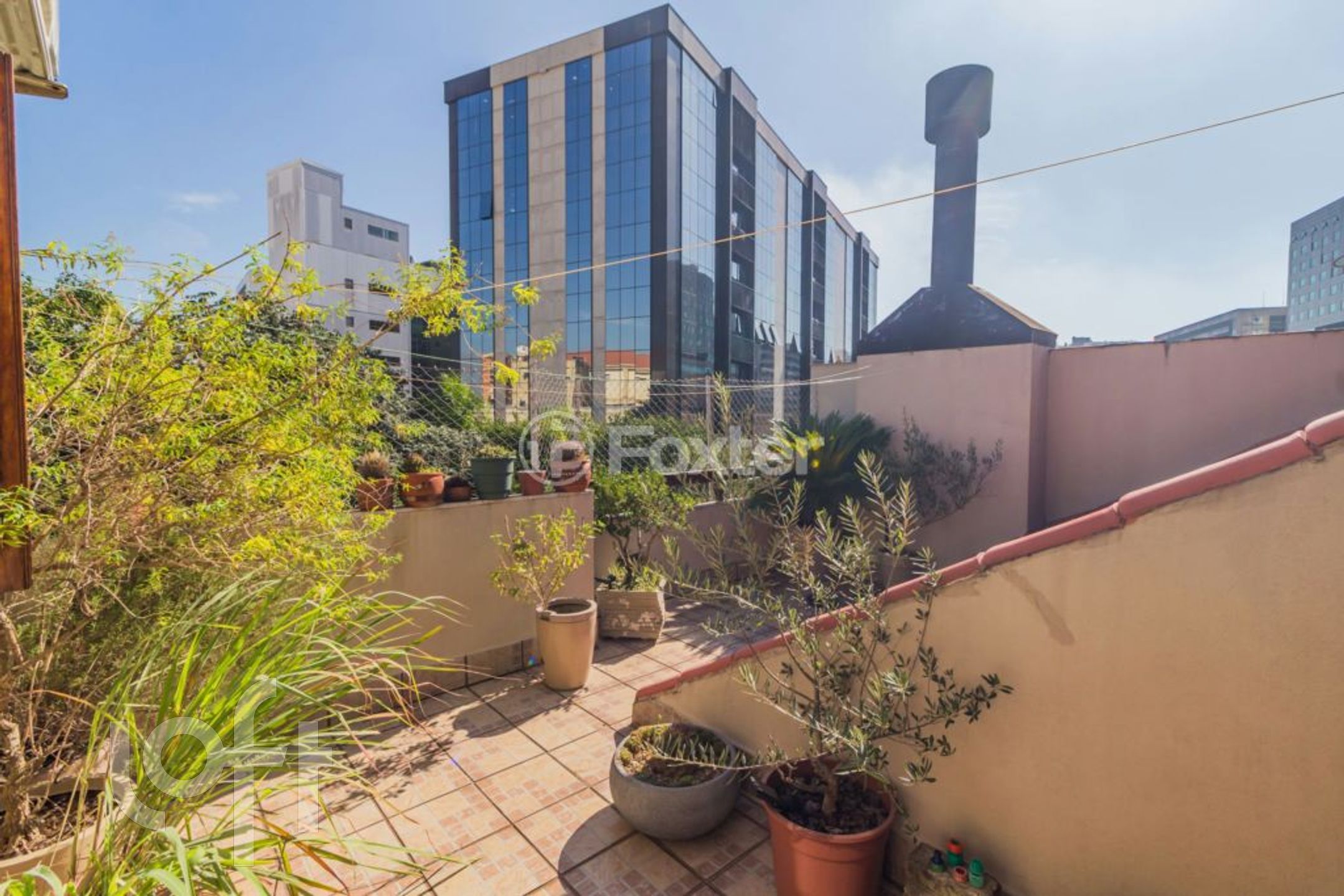 Imagem da propriedade 29