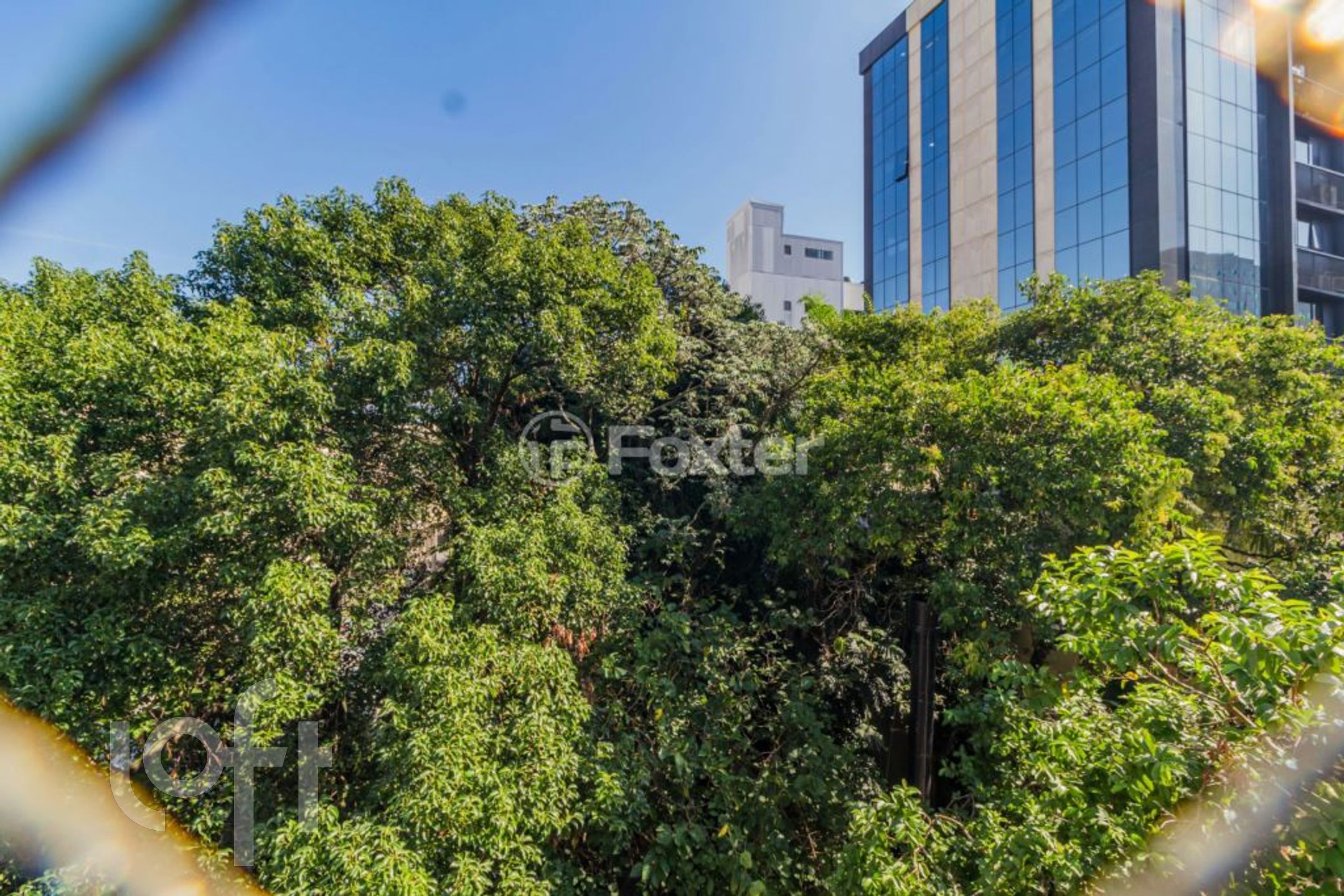 Imagem da propriedade 6