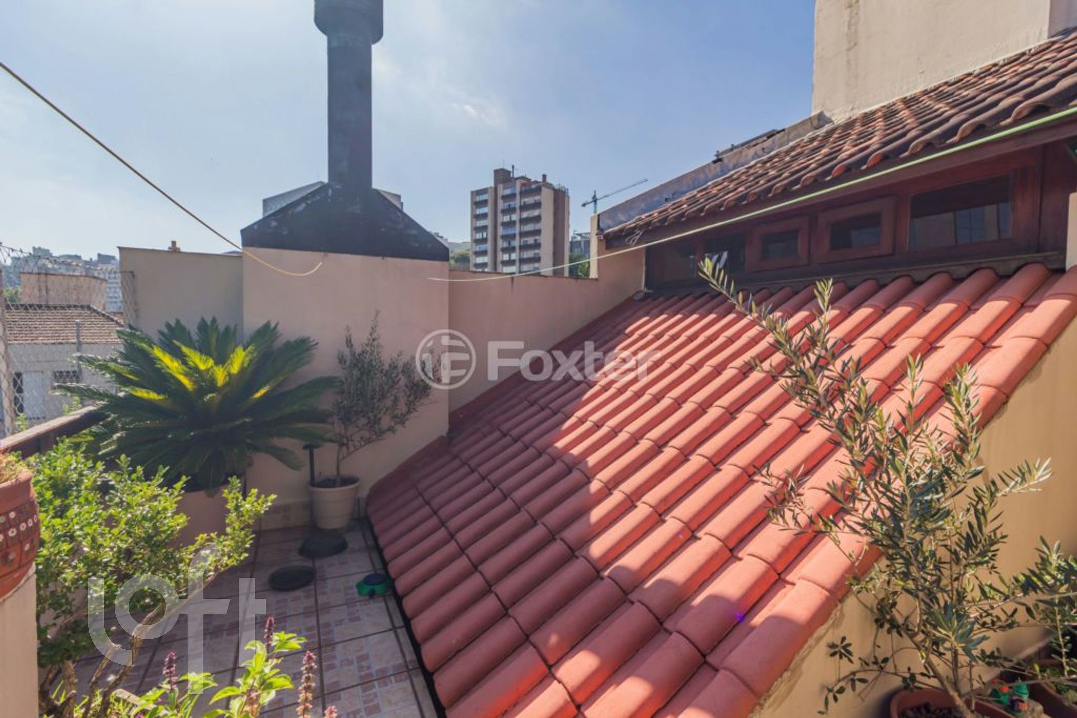 Imagem da propriedade 30