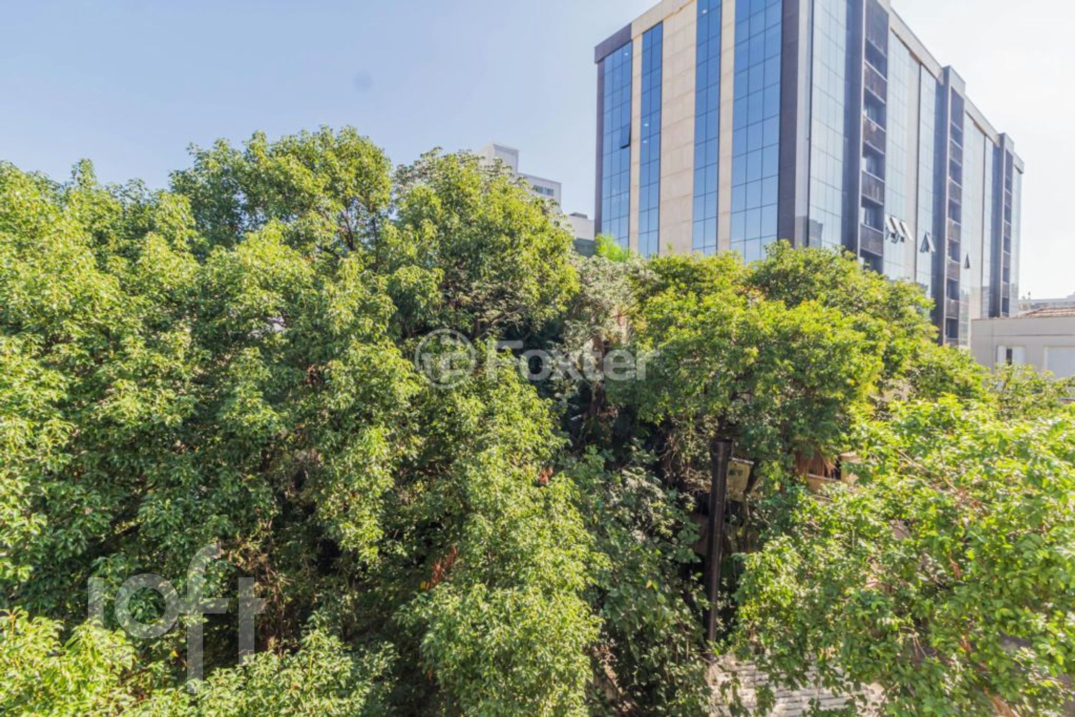 Imagem da propriedade 10