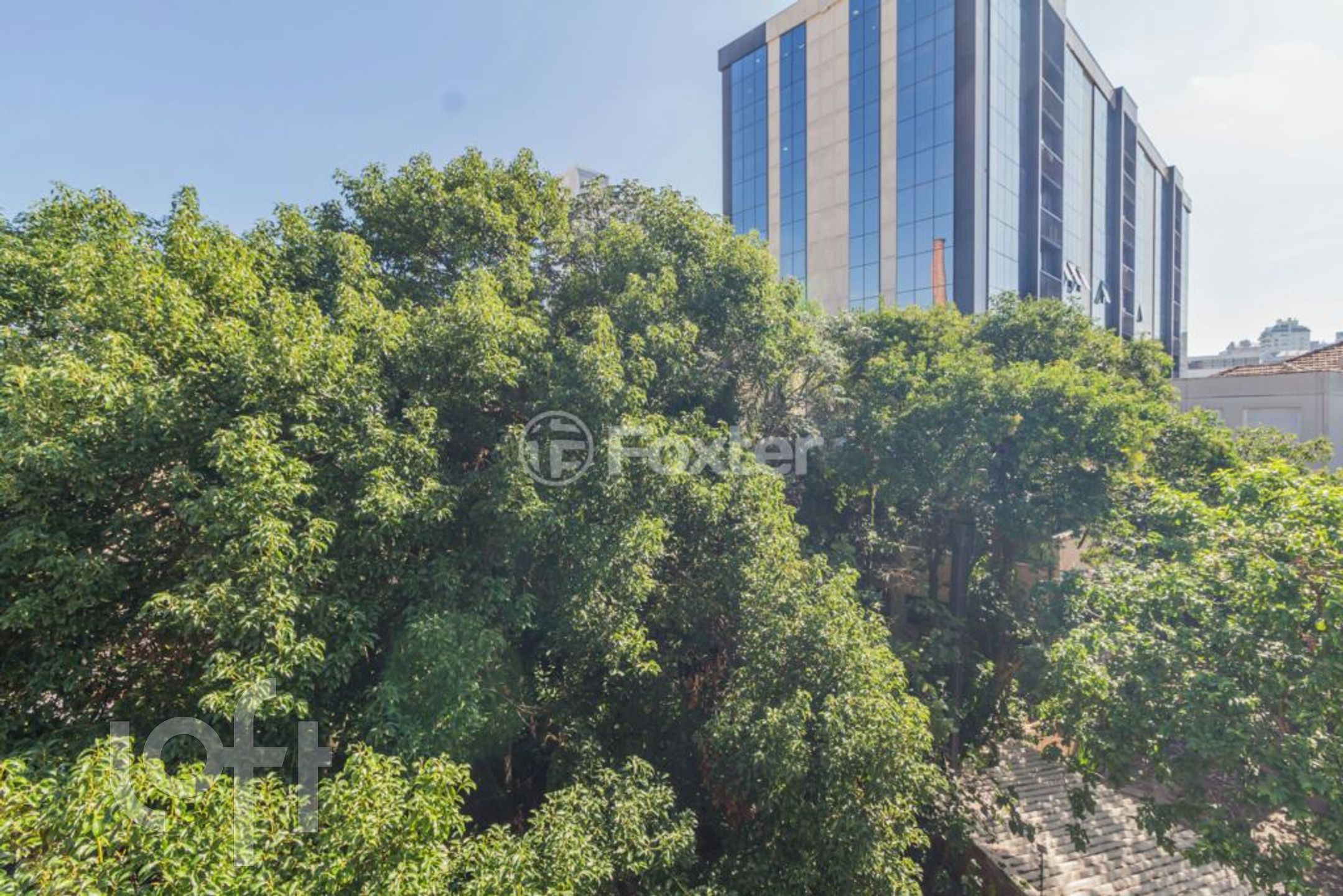 Imagem da propriedade 15