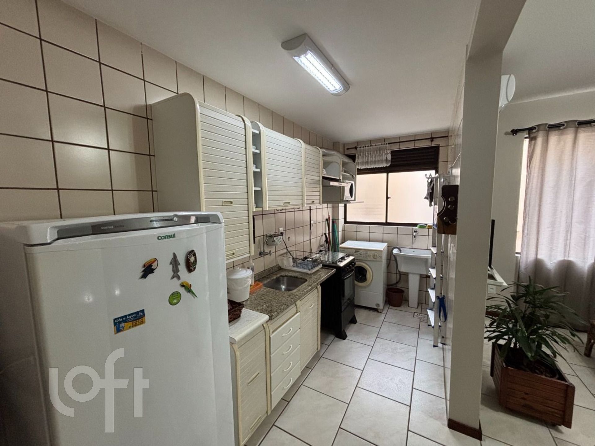 Imagem da propriedade 5
