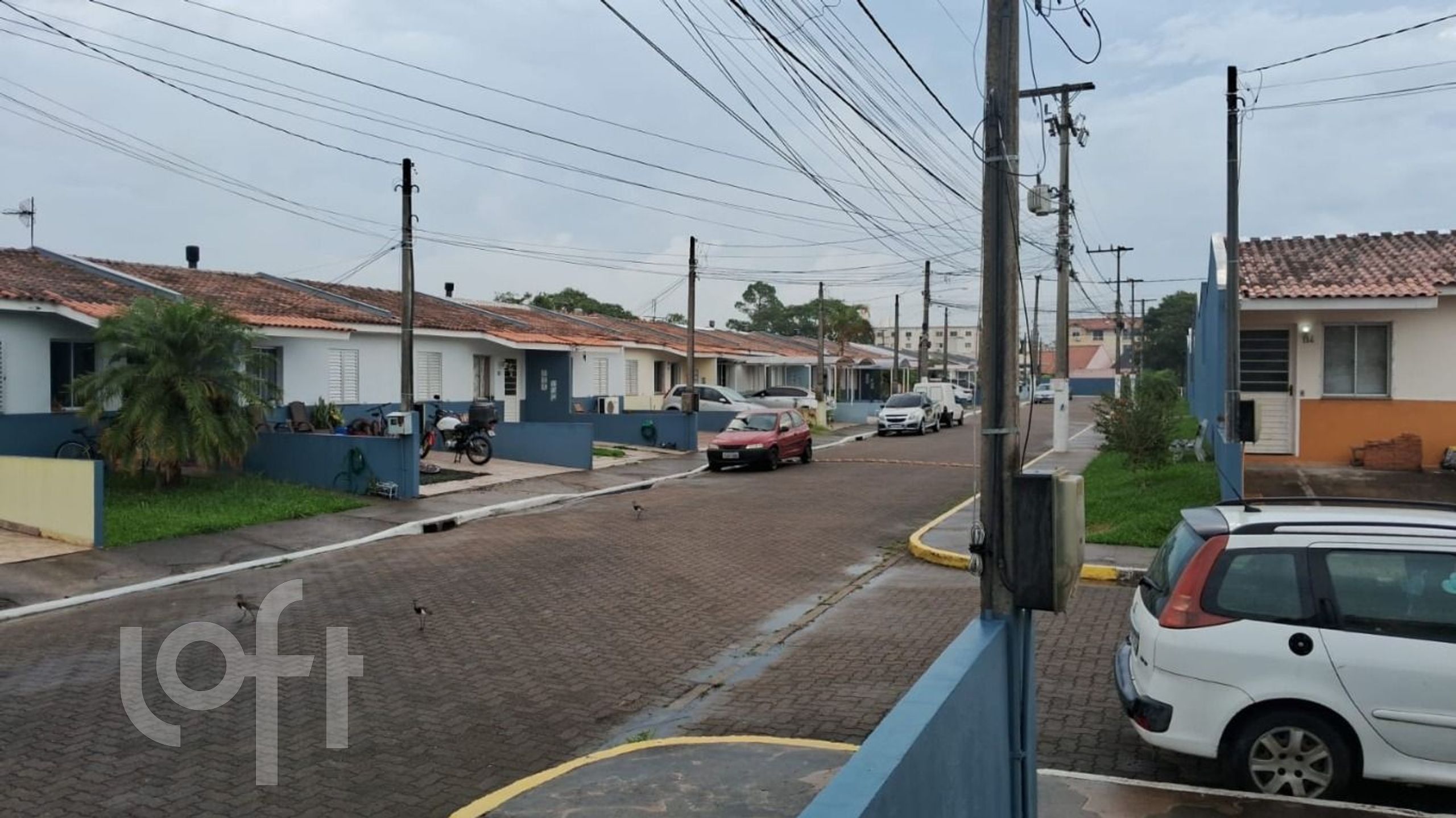 Imagem da propriedade 17