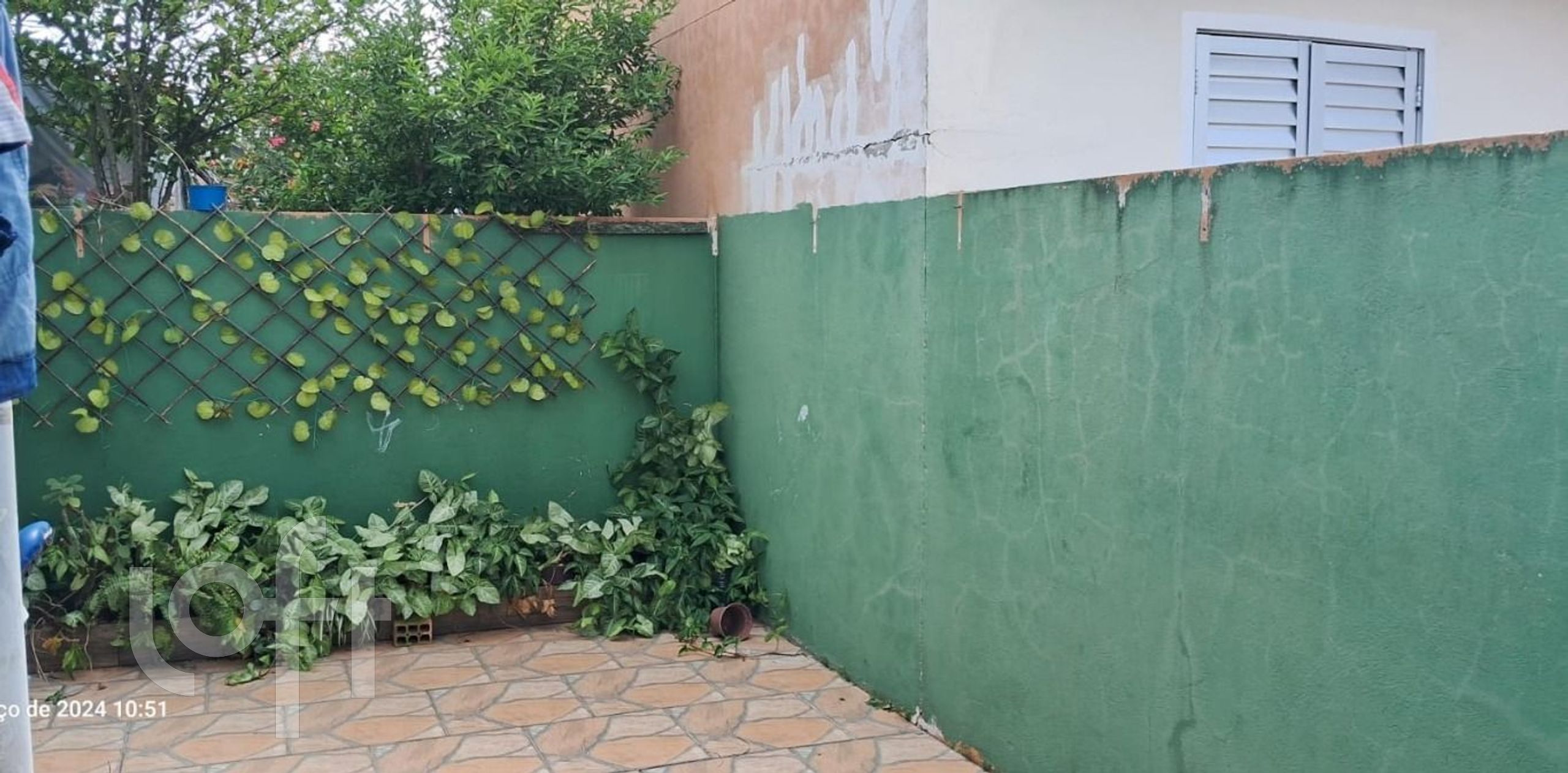 Imagem da propriedade 3