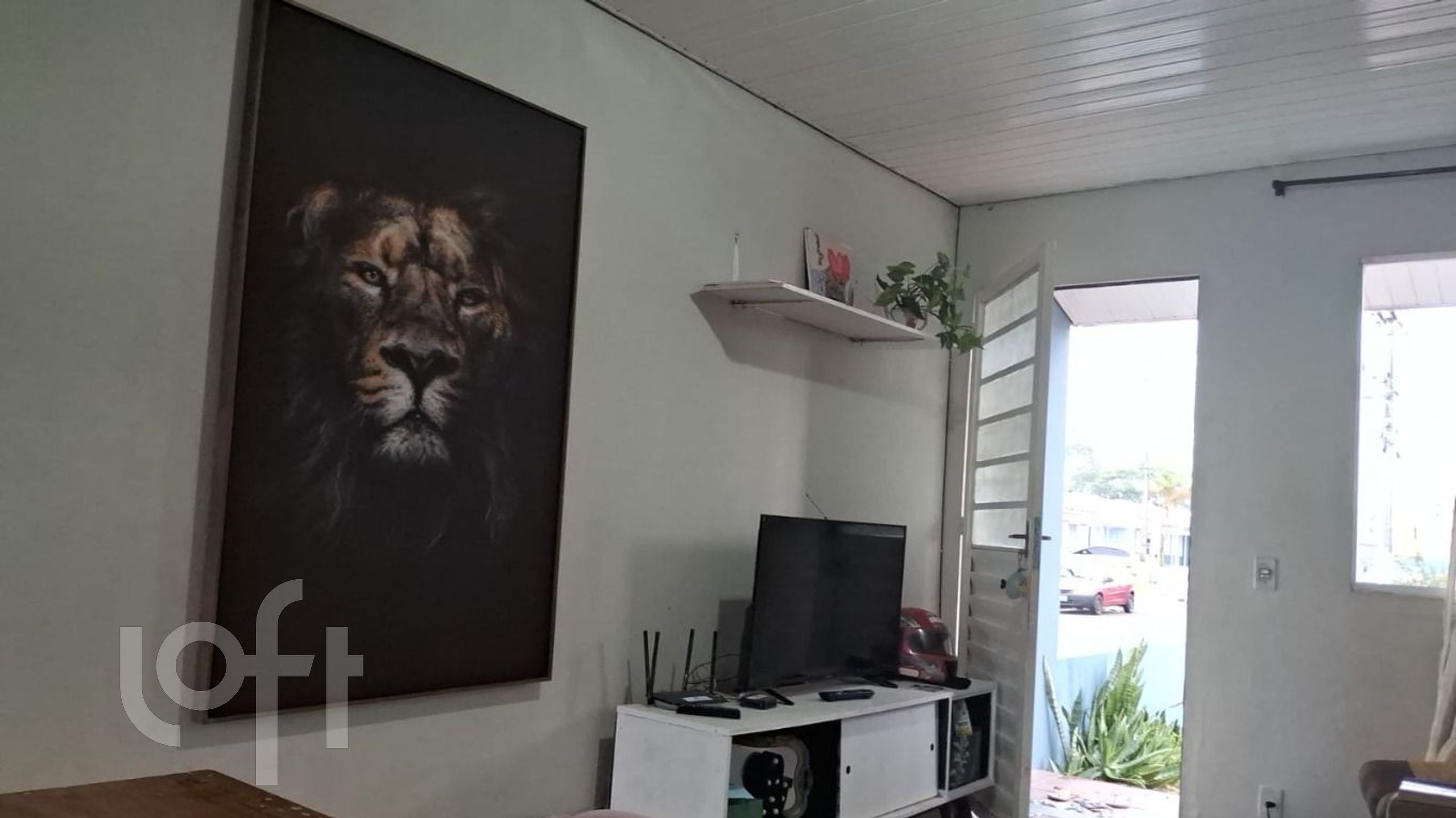 Imagem da propriedade 24