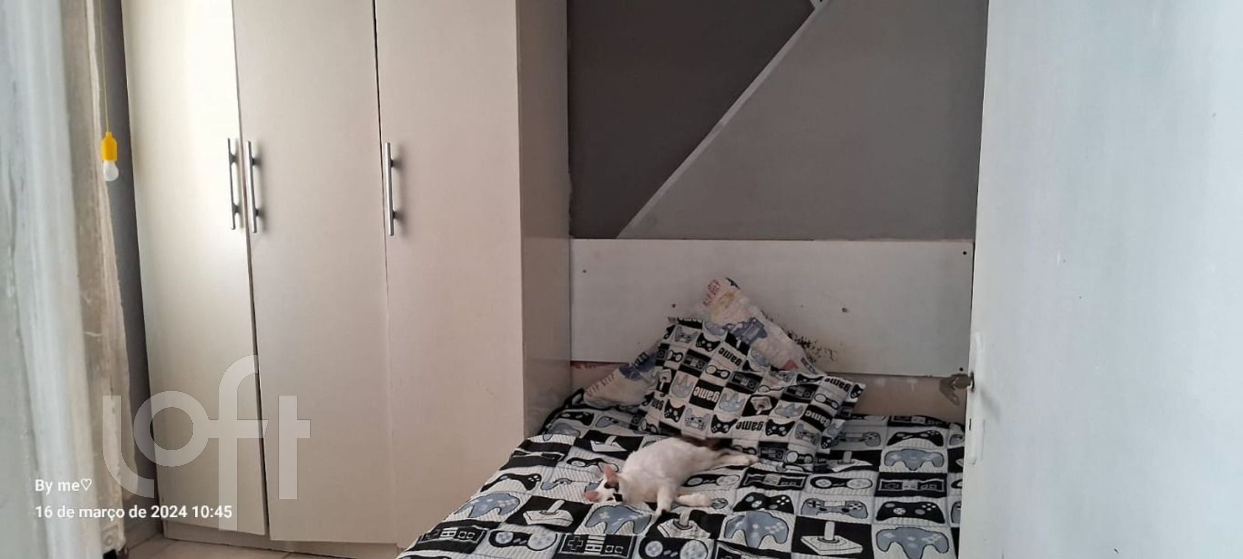 Imagem da propriedade 8