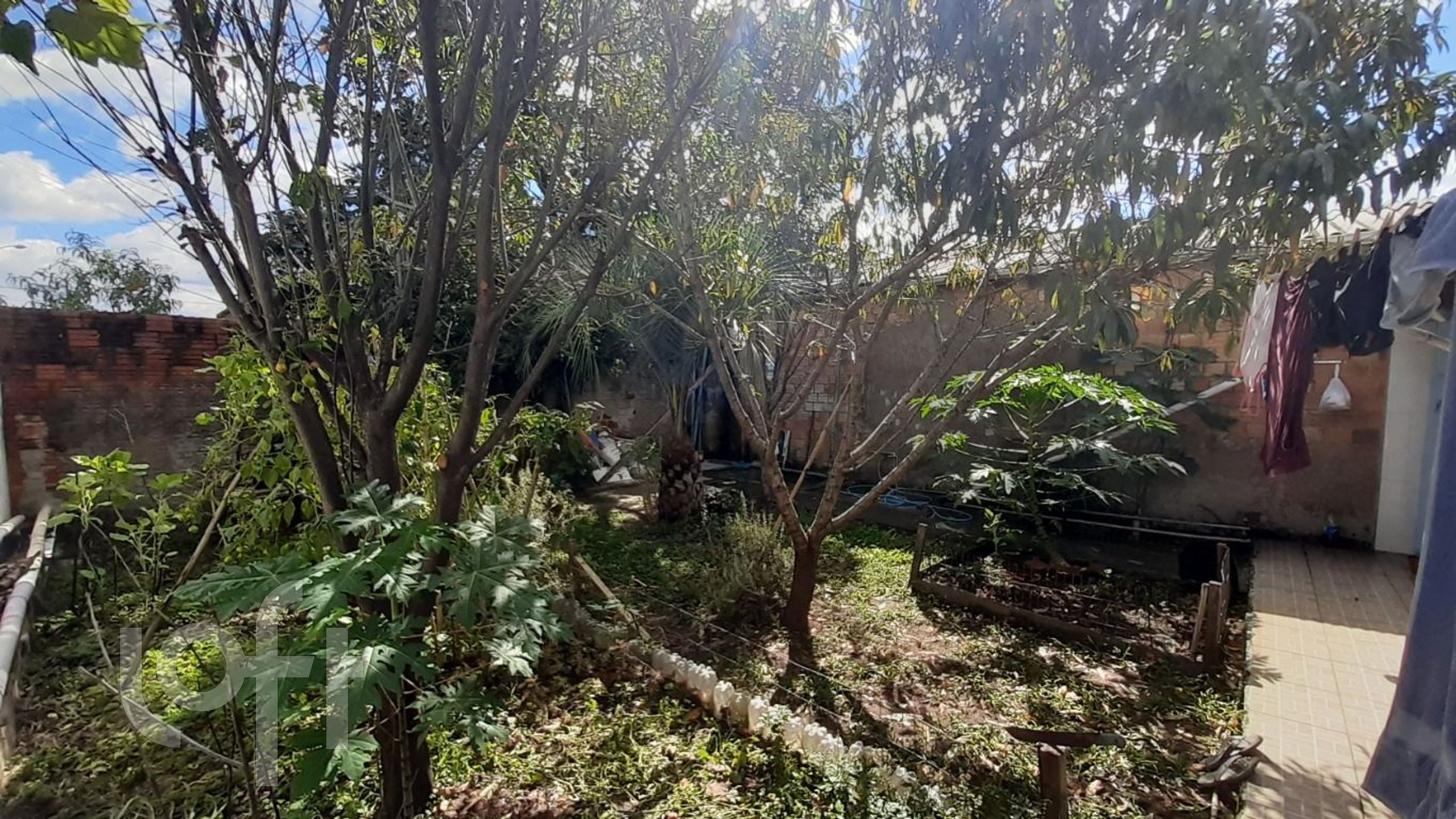 Imagem da propriedade 5