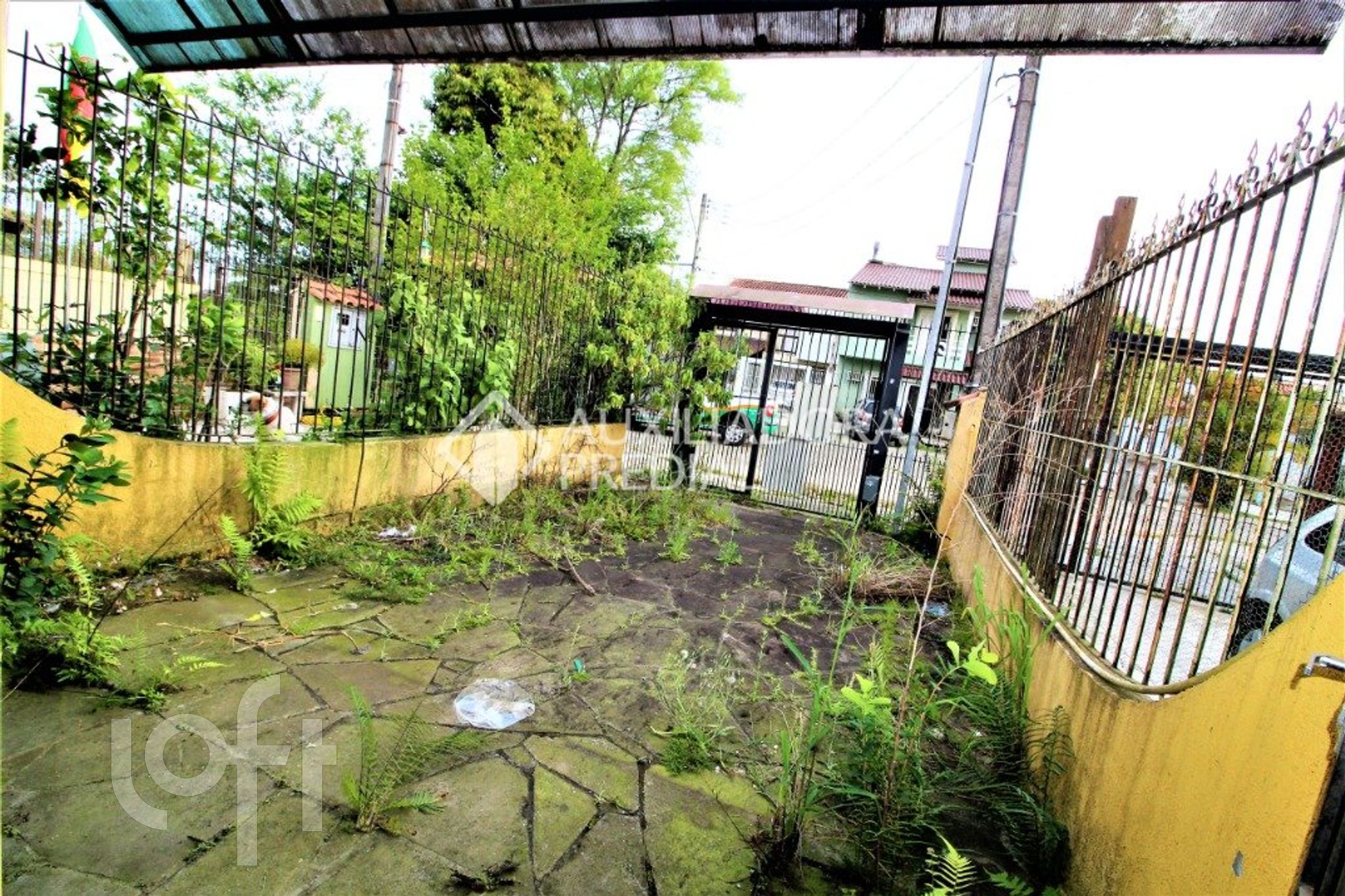 Imagem da propriedade 13