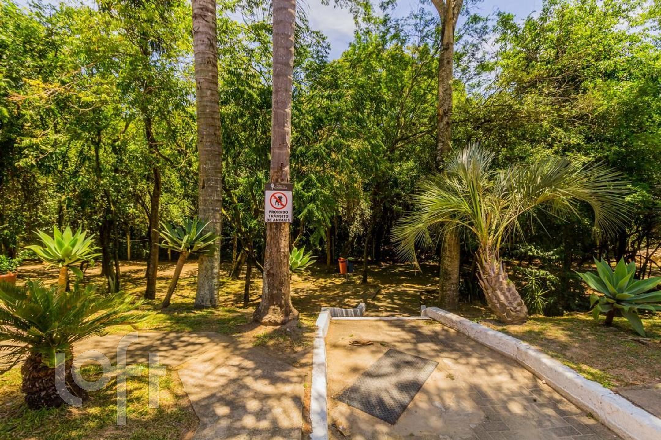 Imagem da propriedade 53