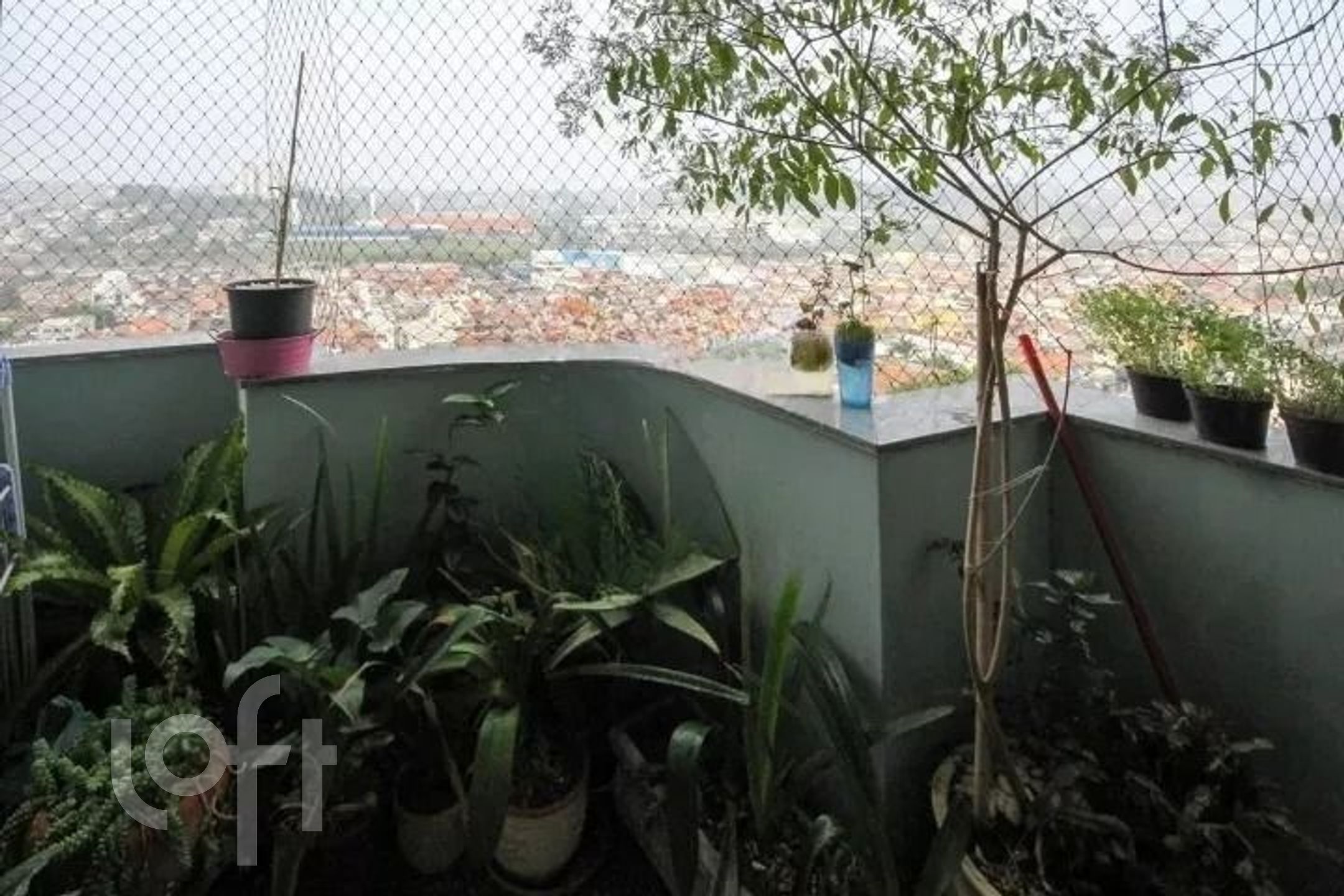 Imagem da propriedade PU1wzinjy 4
