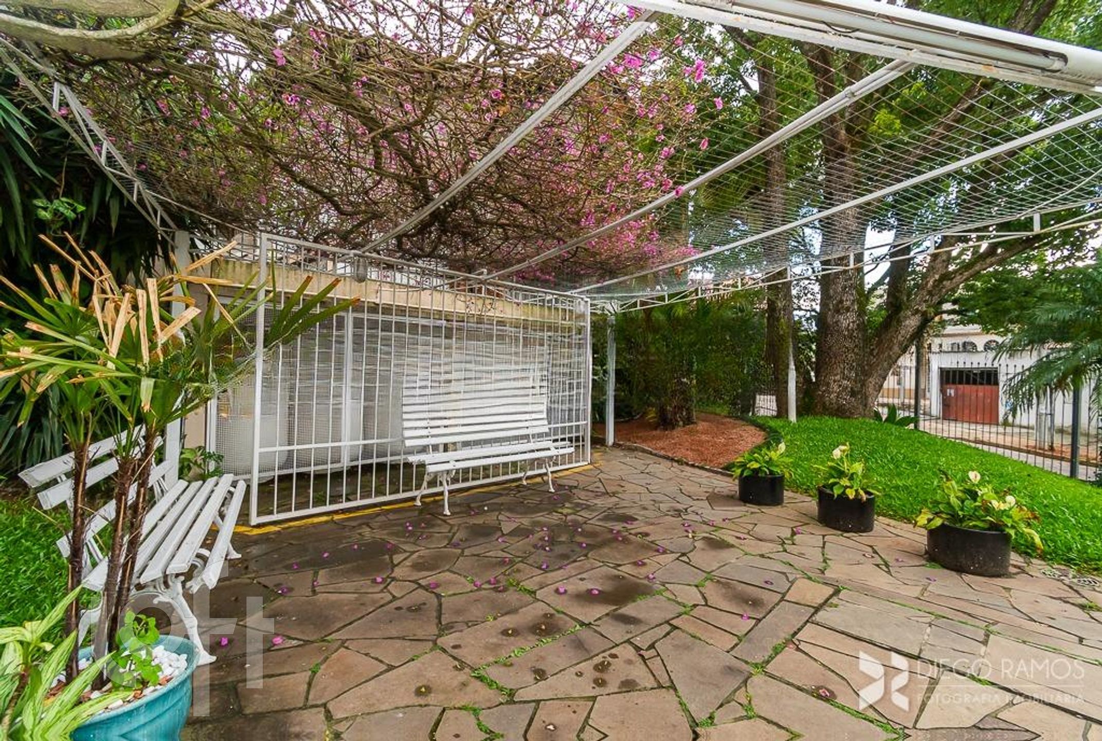 Imagem da propriedade 30