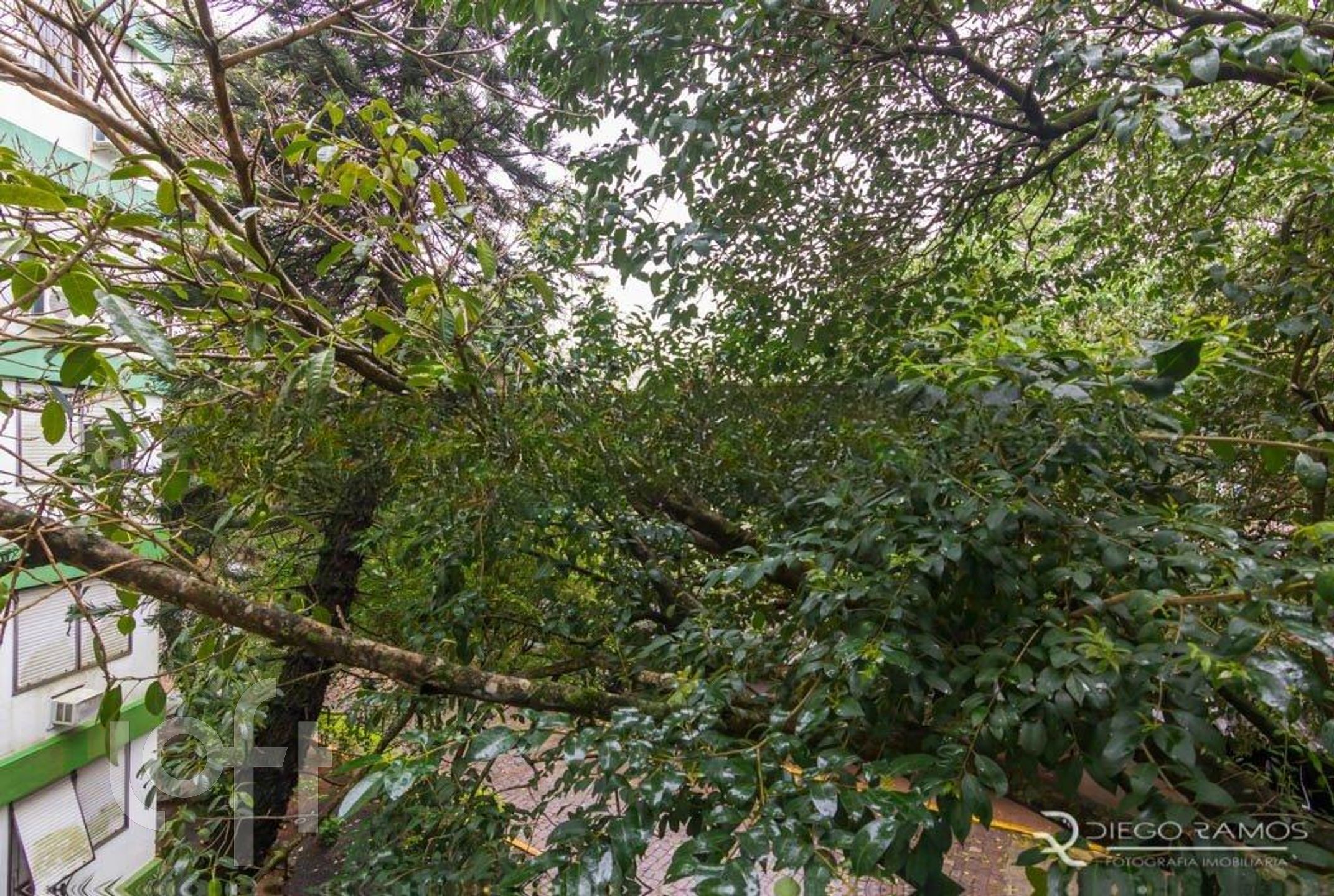 Imagem da propriedade 14