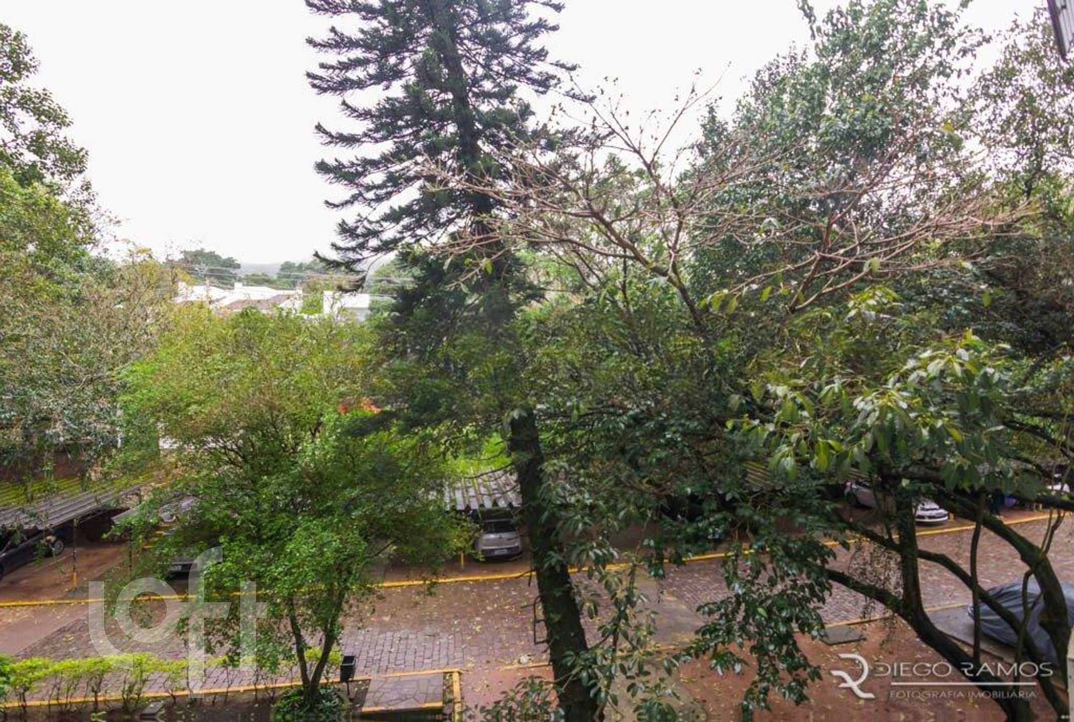 Imagem da propriedade 19