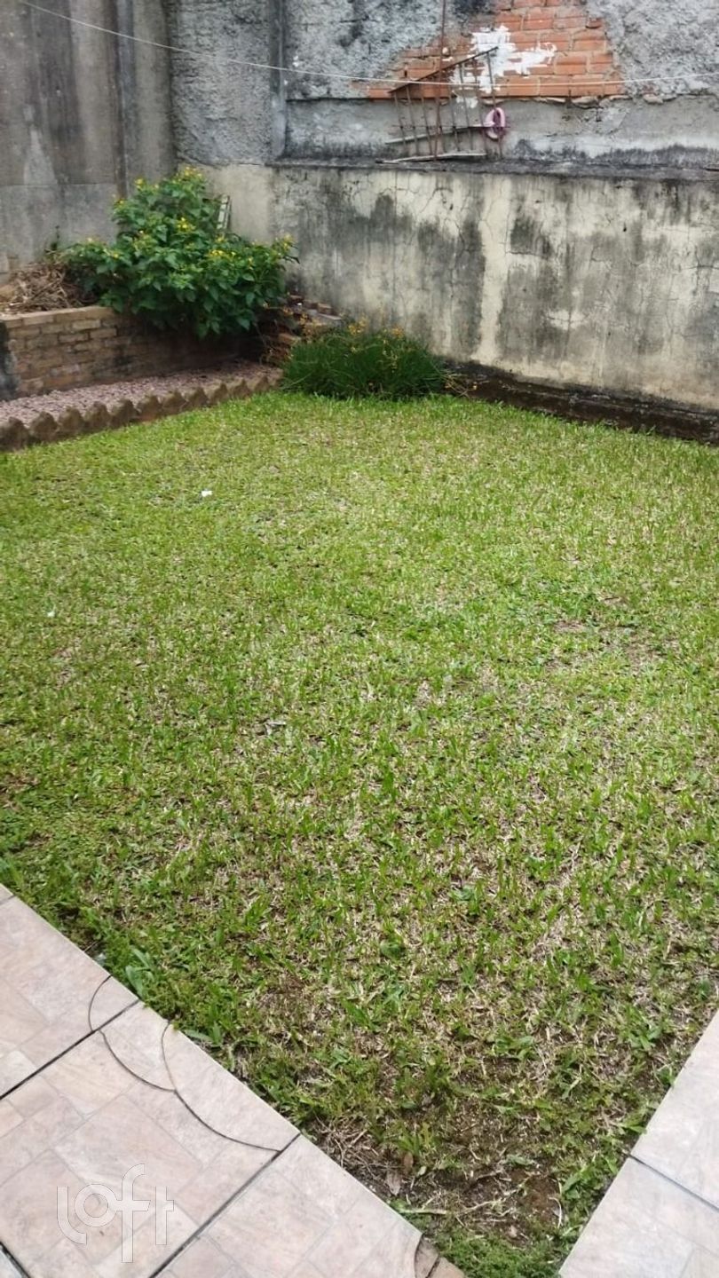 Imagem da propriedade 33