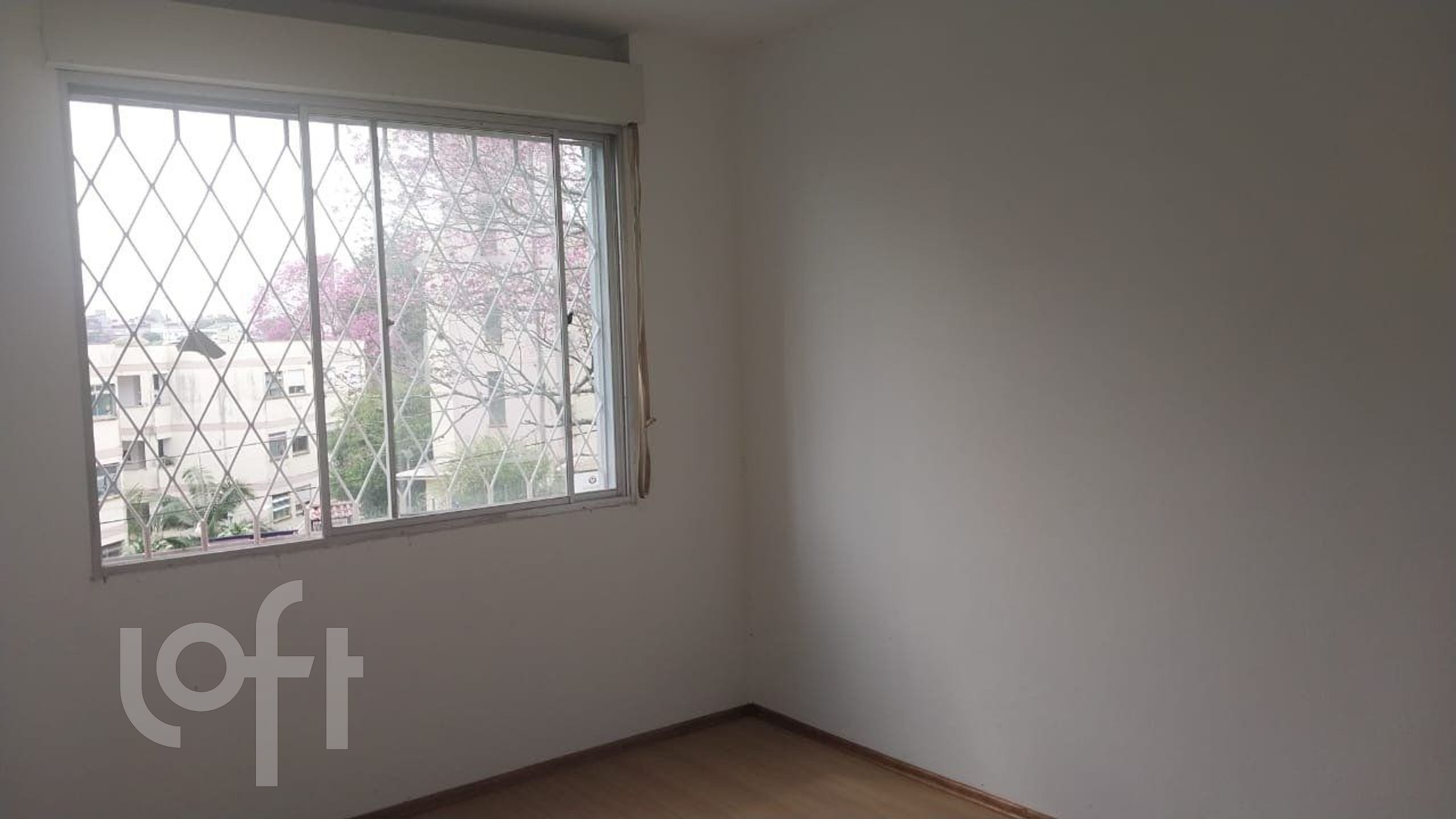 Imagem da propriedade 19