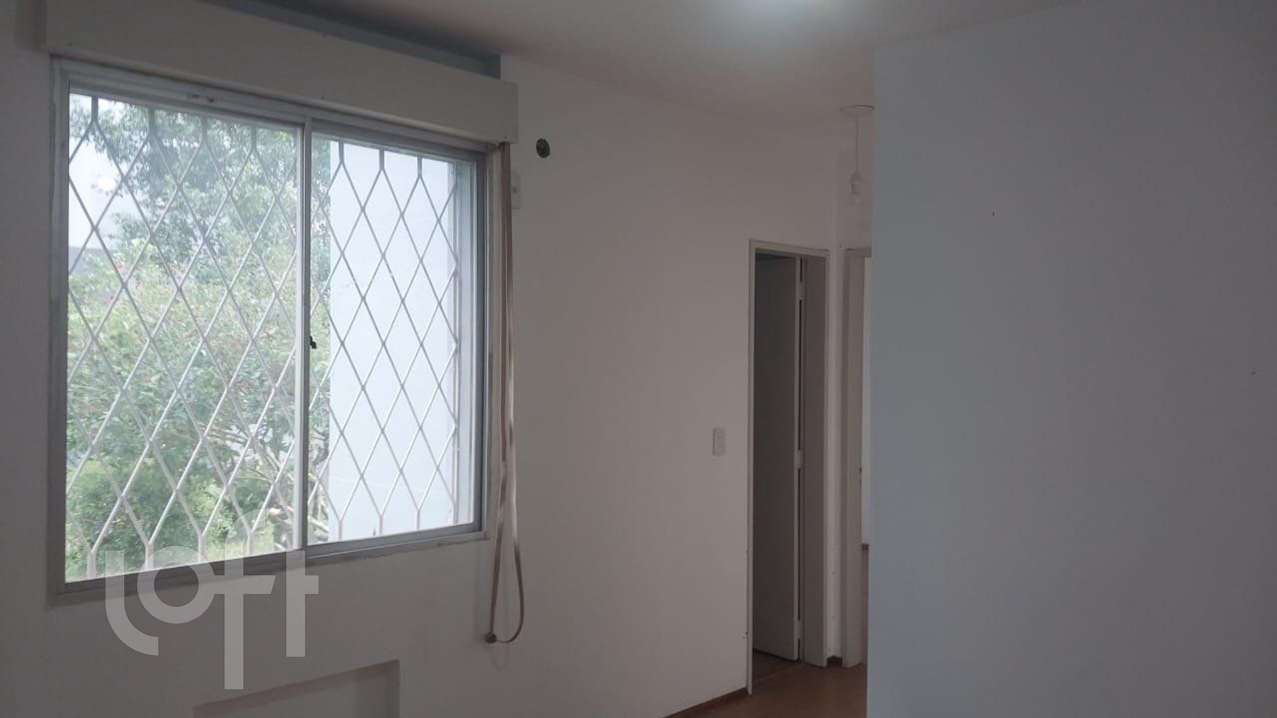 Imagem da propriedade 11