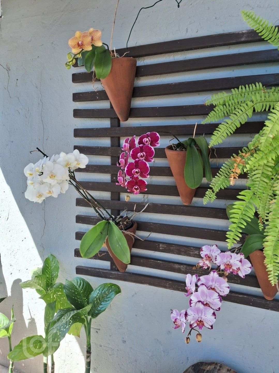 Imagem da propriedade 61