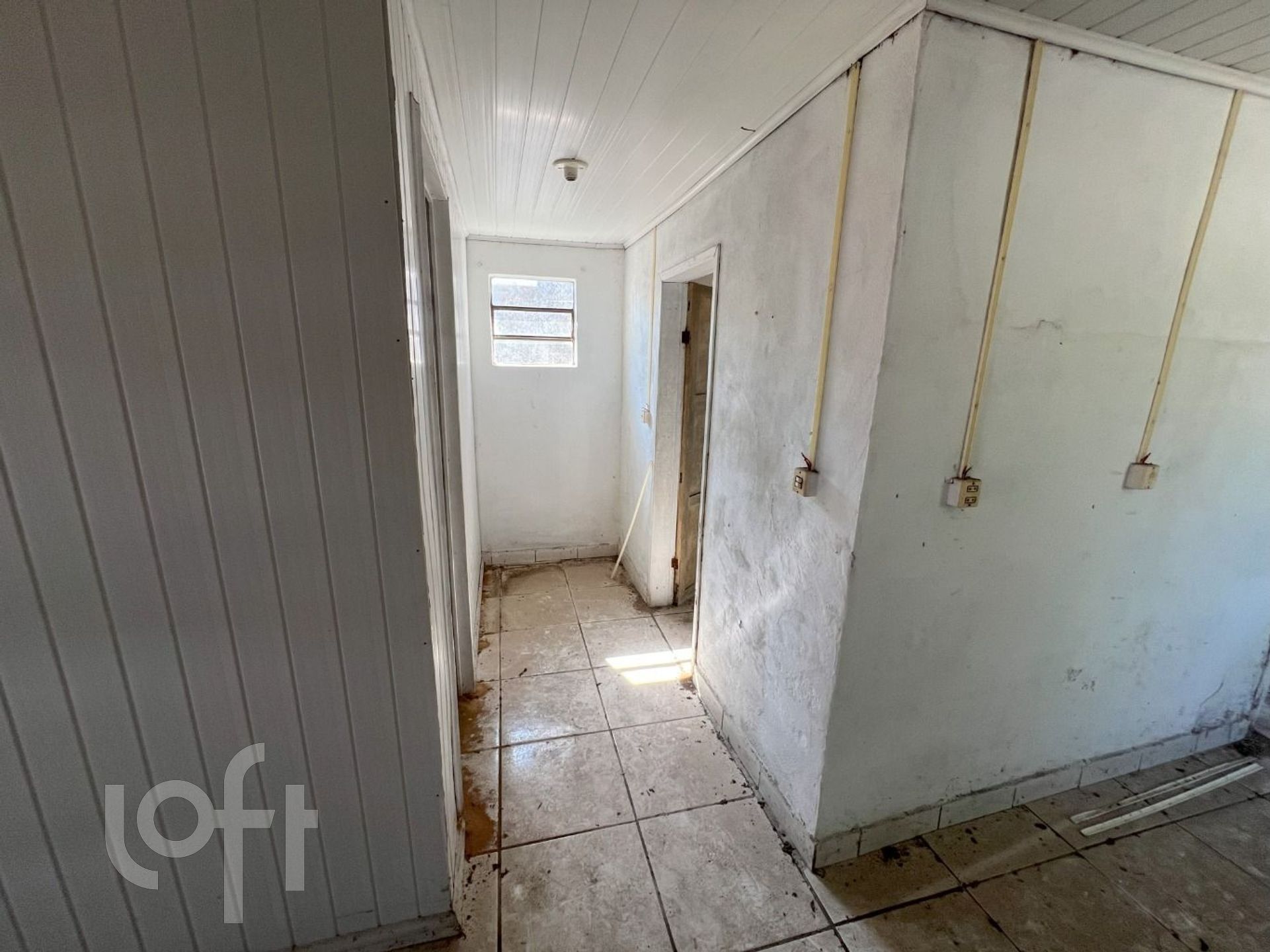 Imagem da propriedade 8