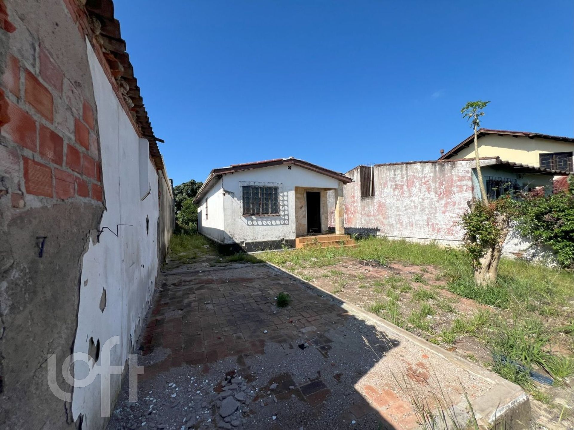 Imagem da propriedade 3