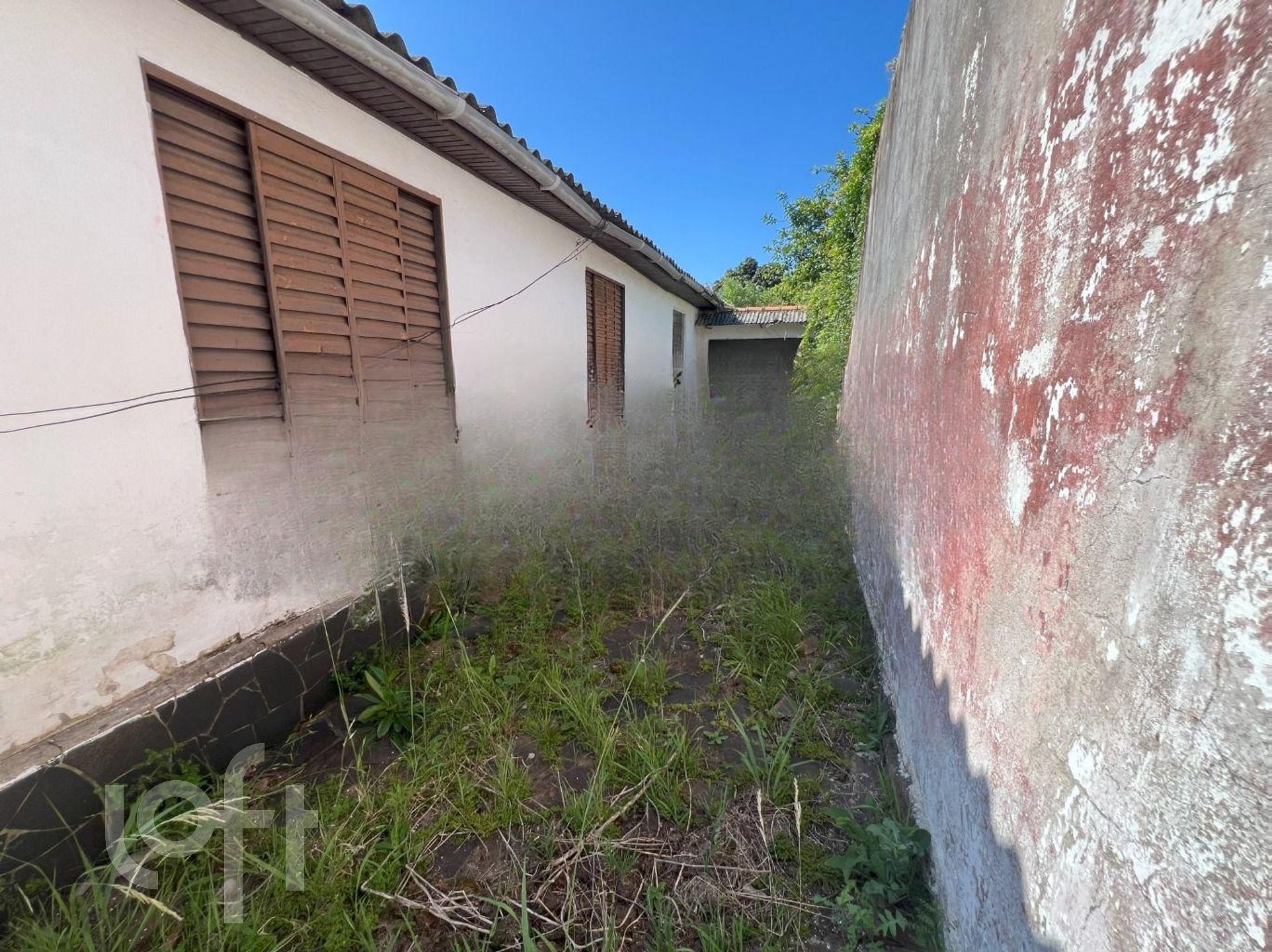 Imagem da propriedade 19