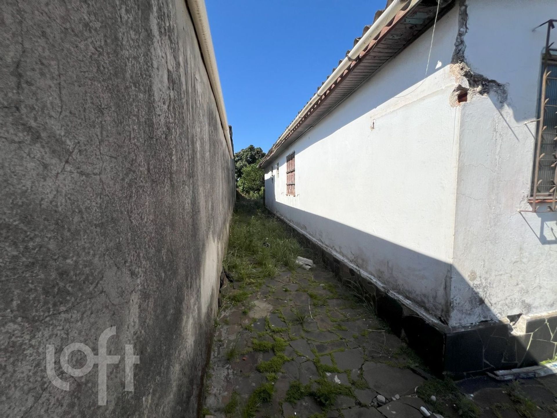 Imagem da propriedade 16