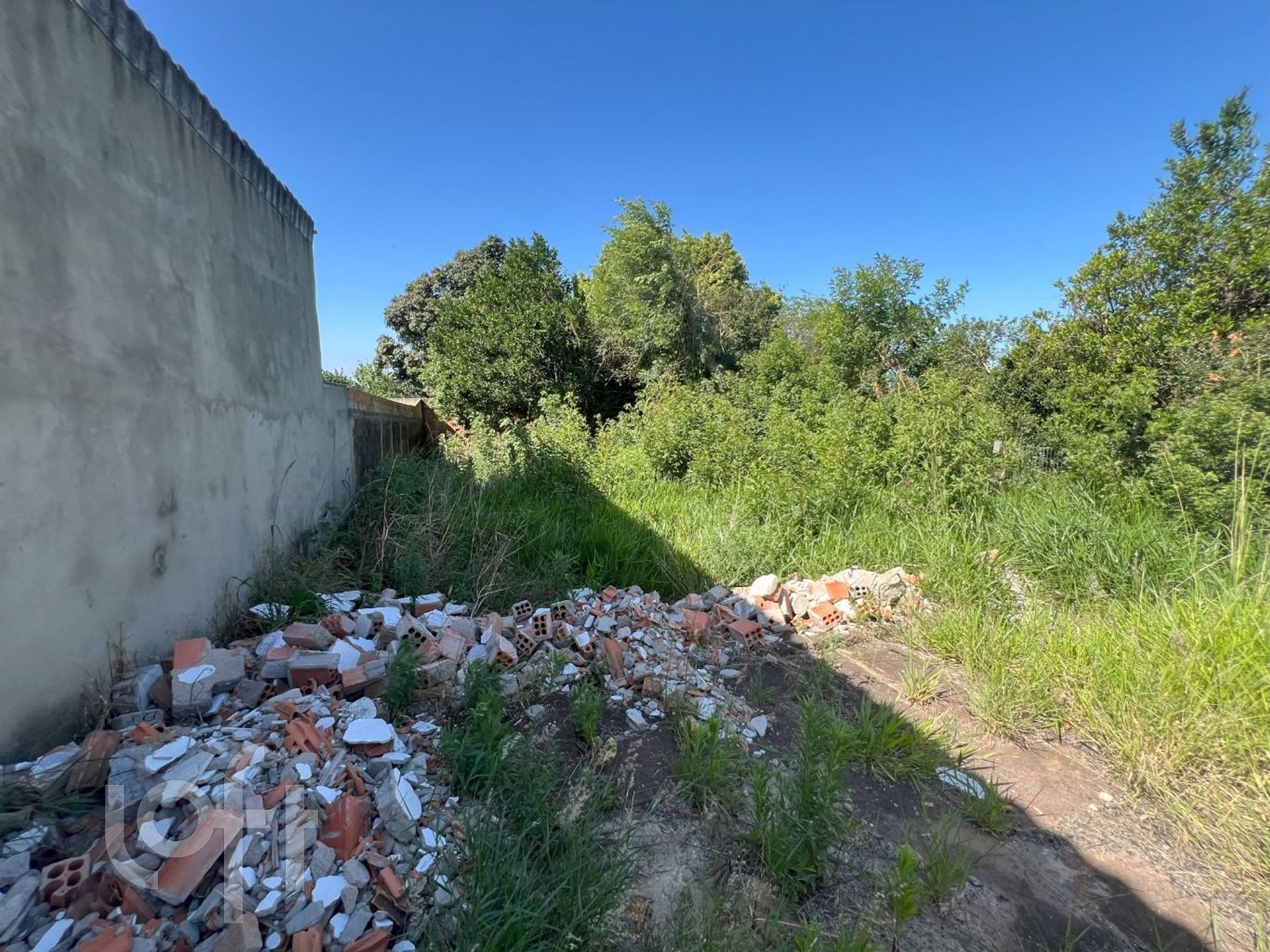 Imagem da propriedade 17