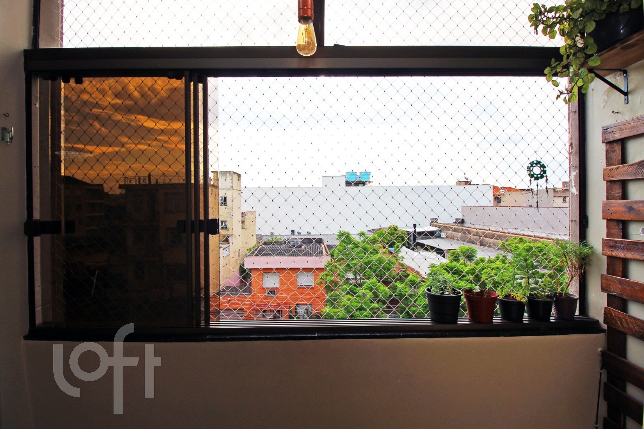 Imagem da propriedade 6