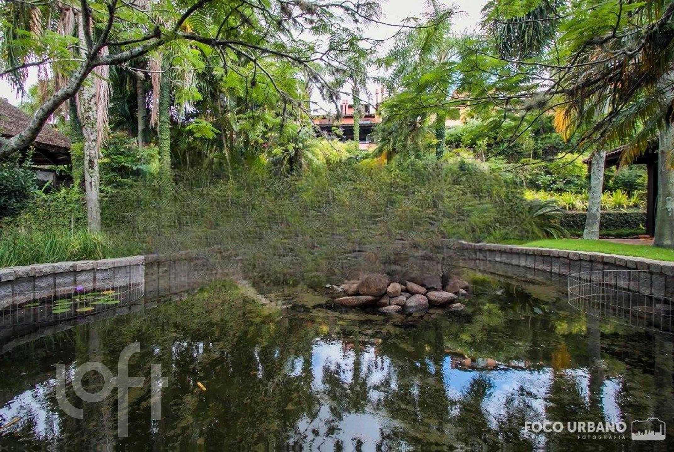 Imagem da propriedade 97