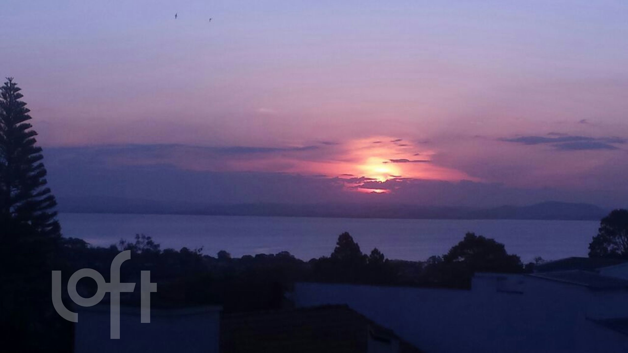 Imagem da propriedade 1