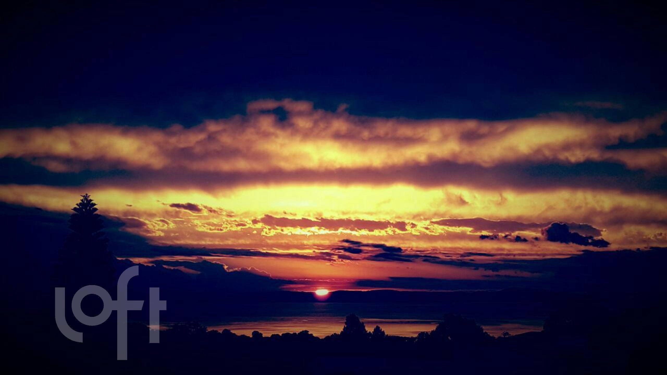 Imagem da propriedade 14