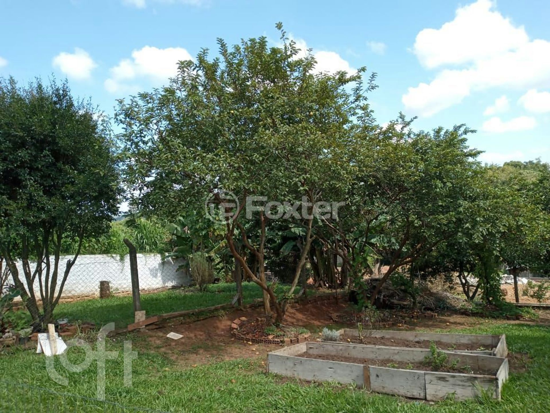 Imagem da propriedade 27