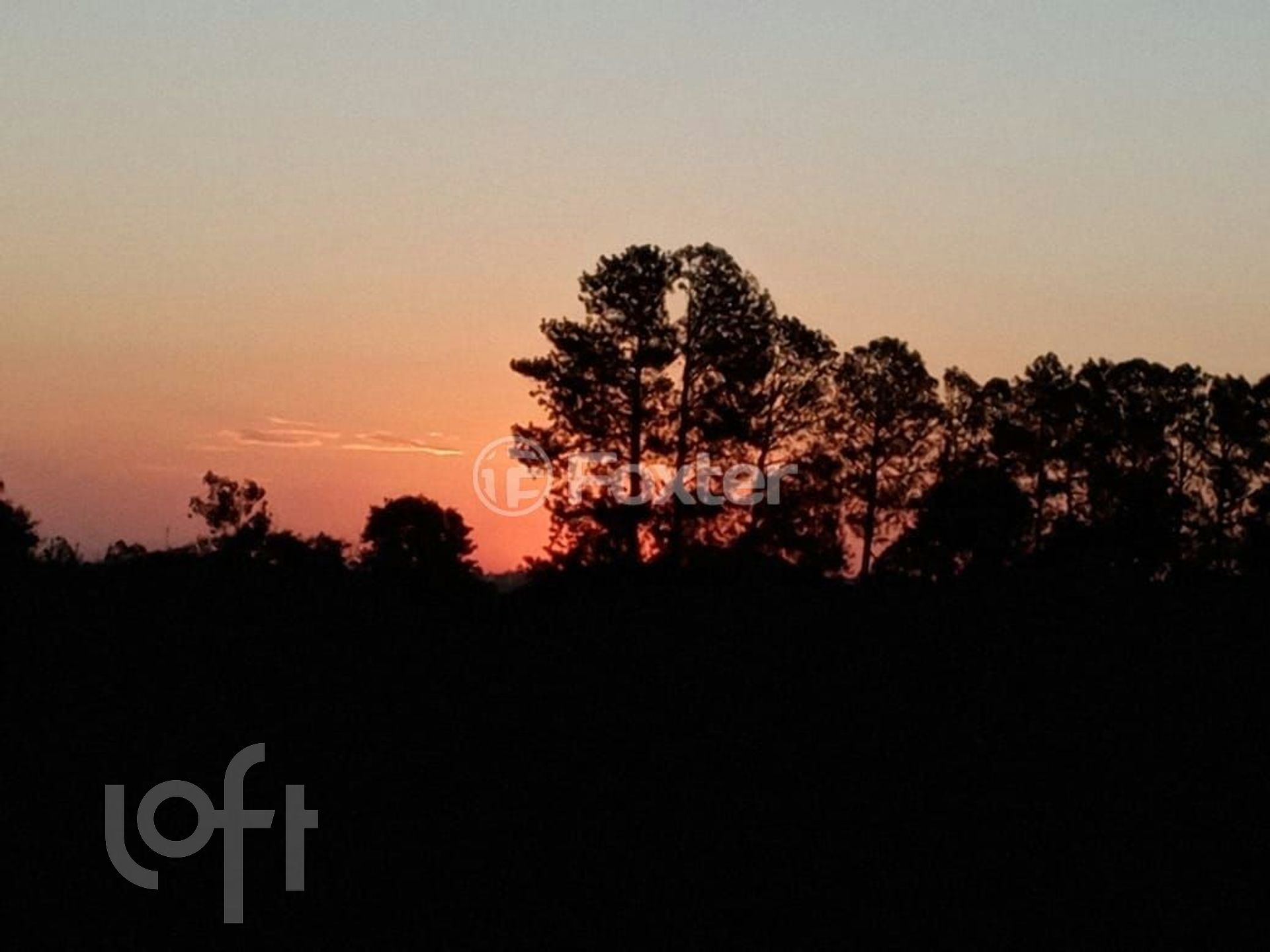 Imagem da propriedade 6