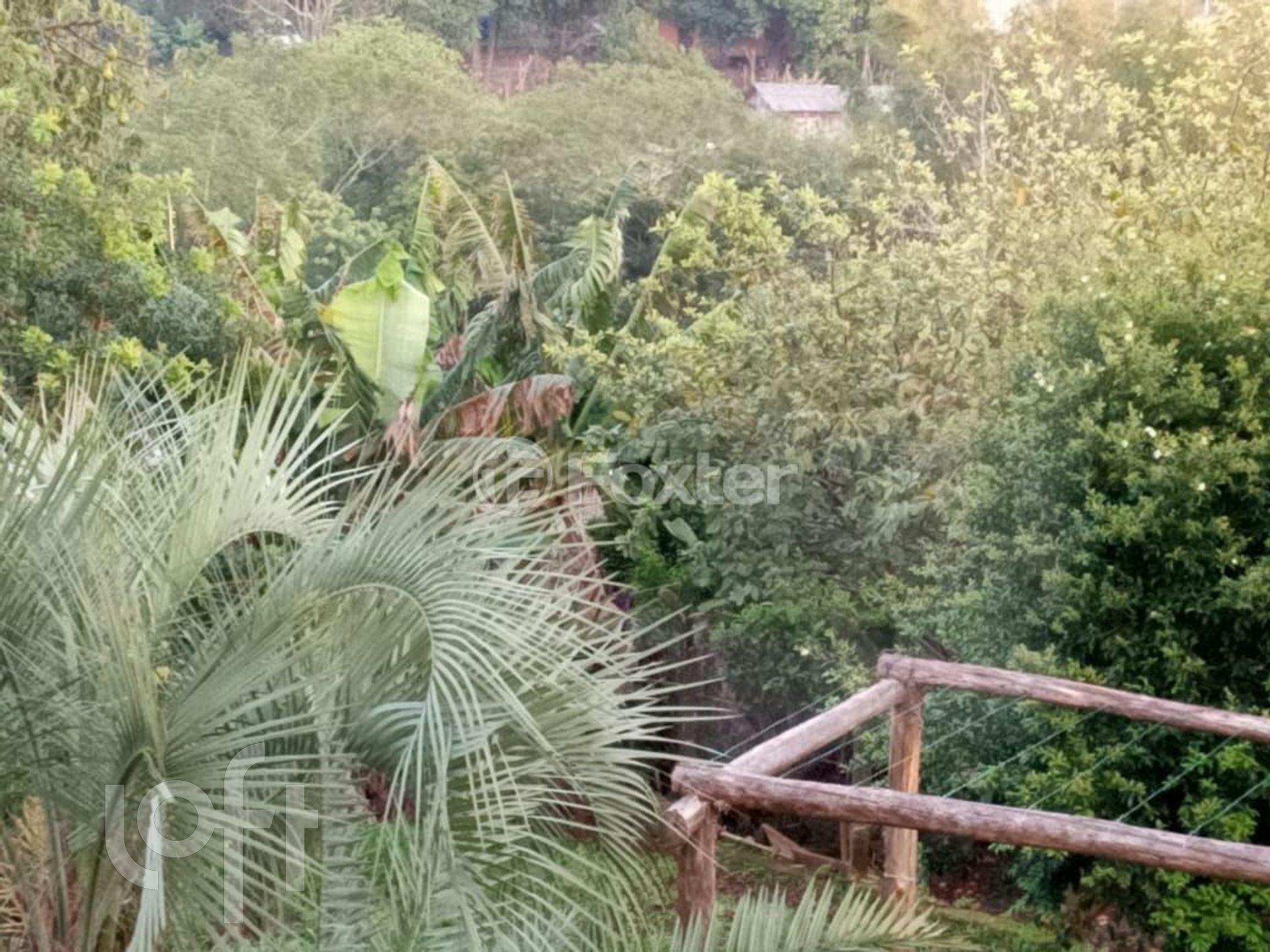 Imagem da propriedade 25