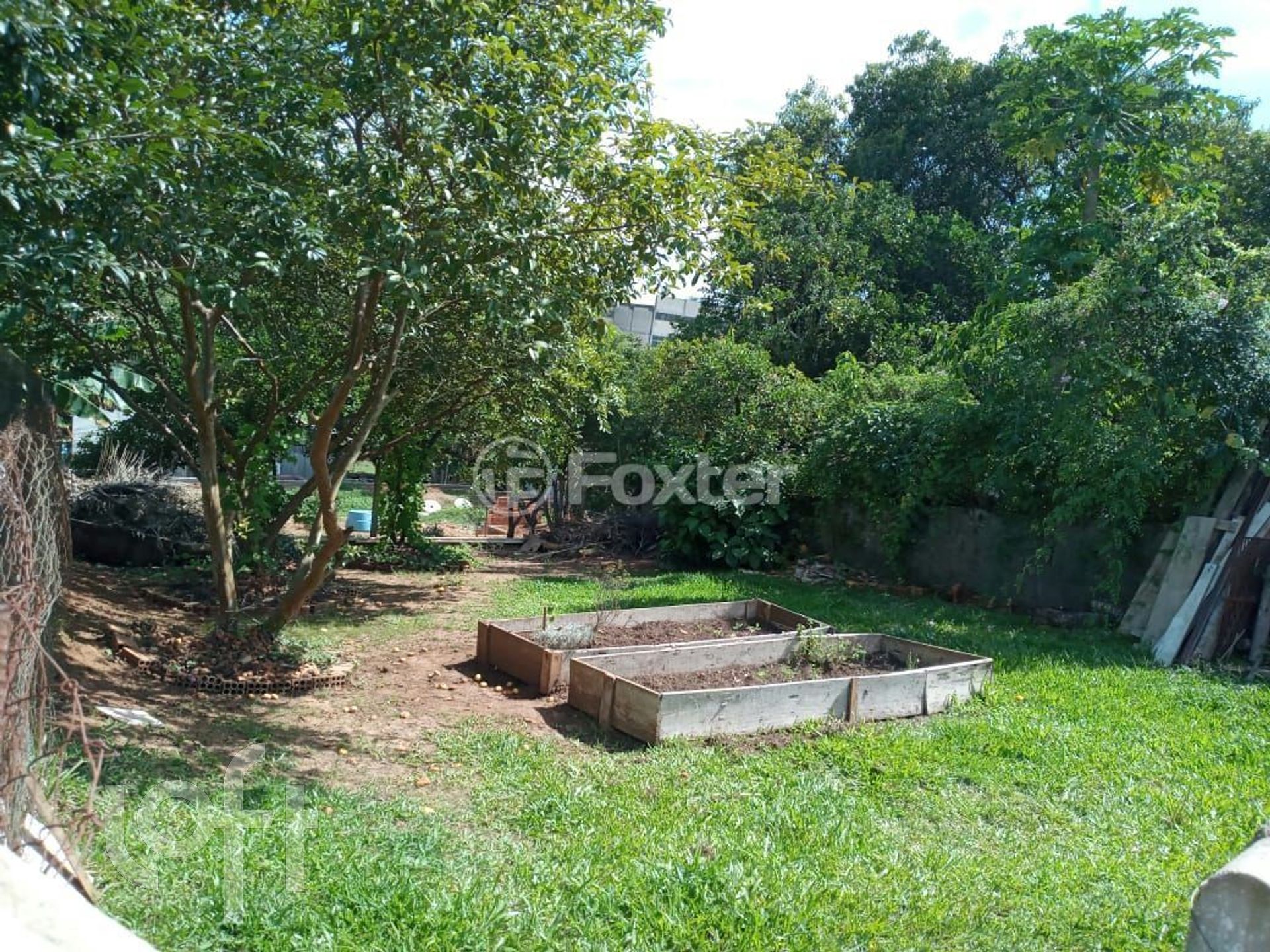 Imagem da propriedade 22