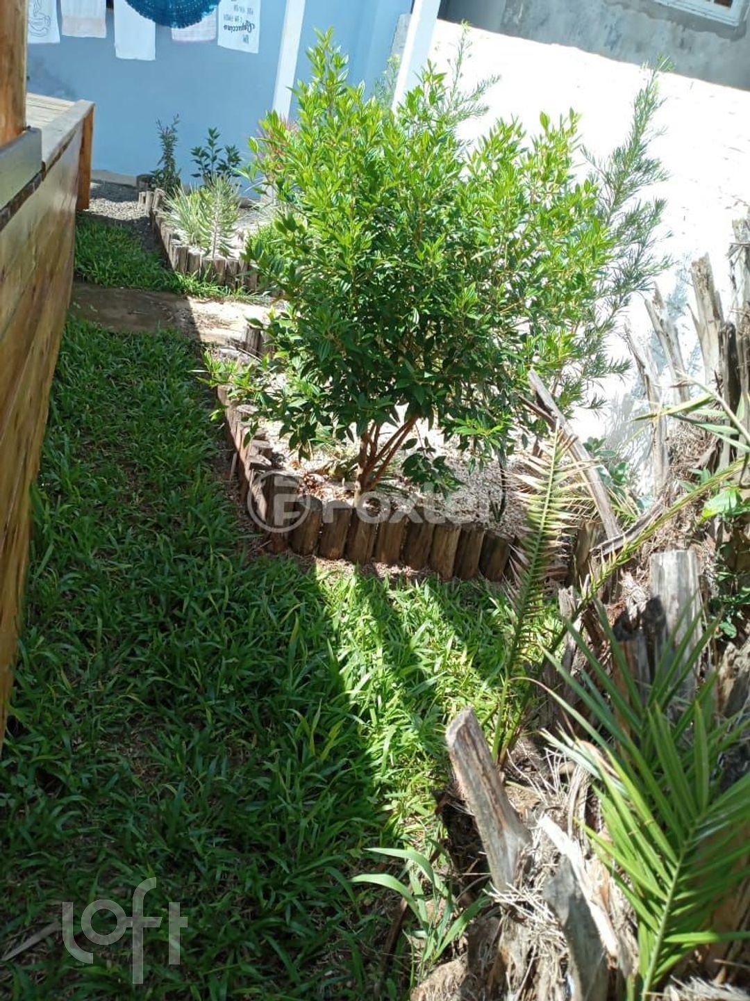 Imagem da propriedade 26