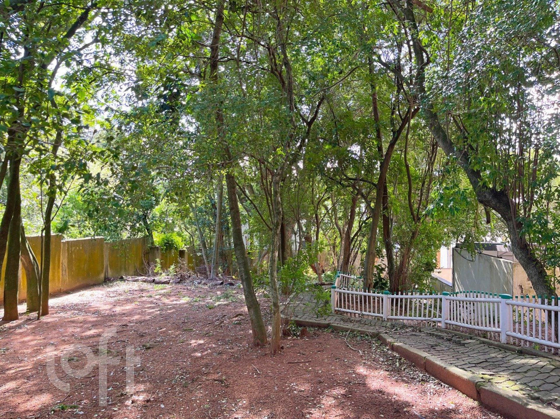 Imagem da propriedade 32