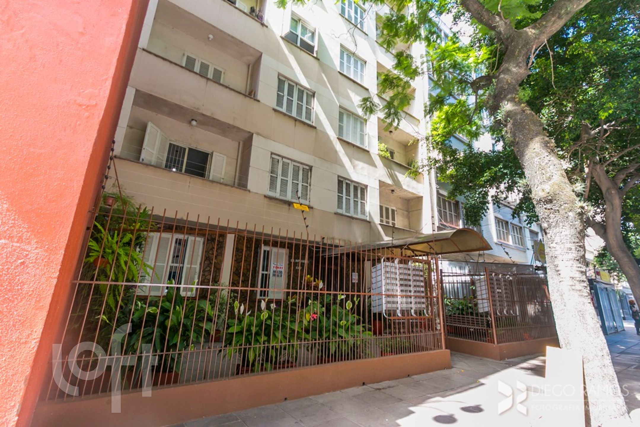 Imagem da propriedade 19