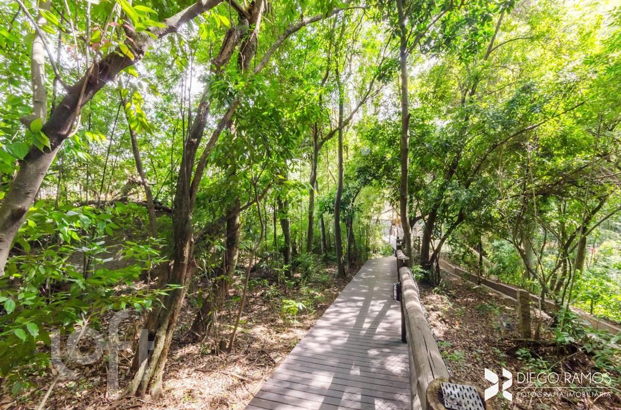 Imagem da propriedade 42