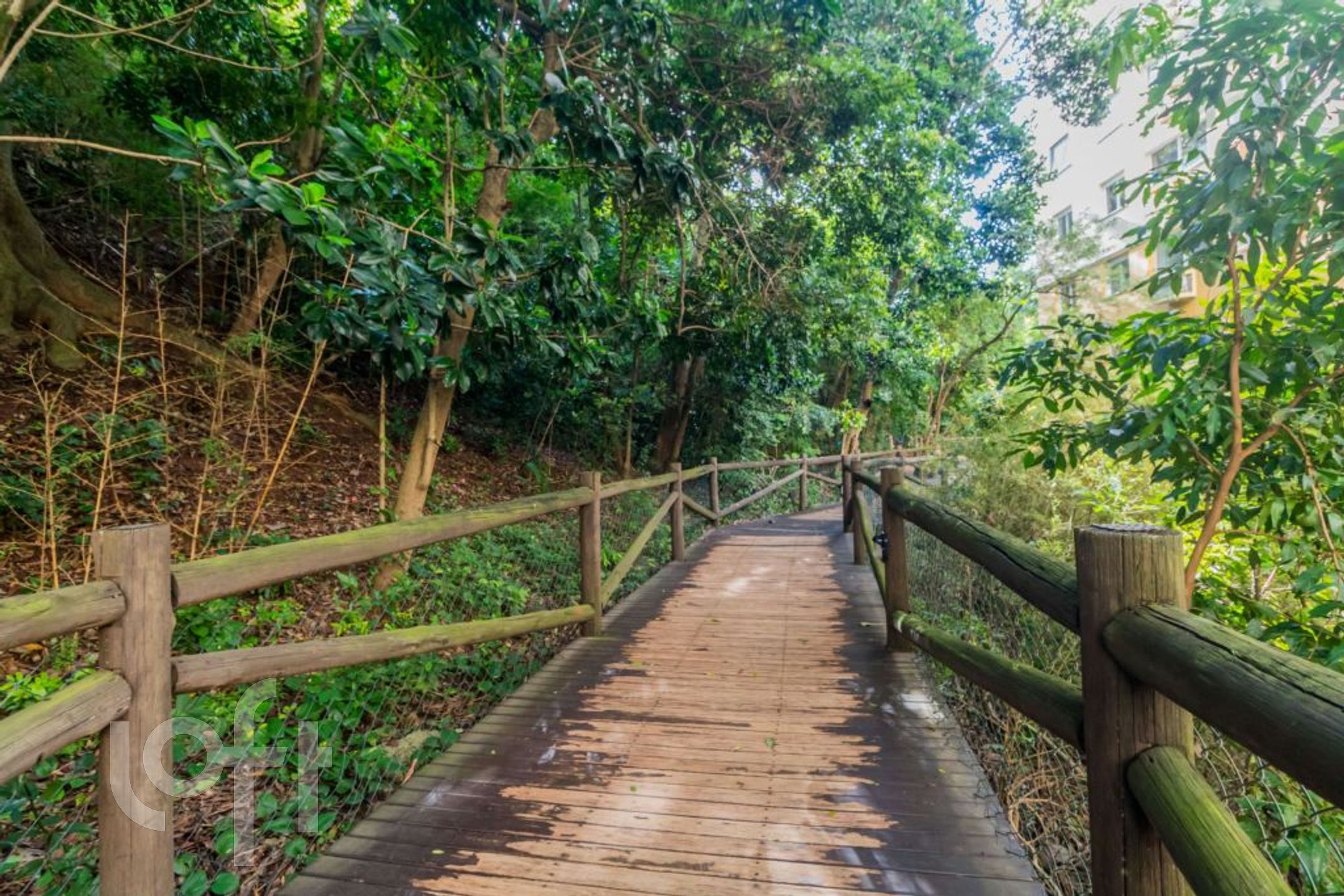 Imagem da propriedade 55