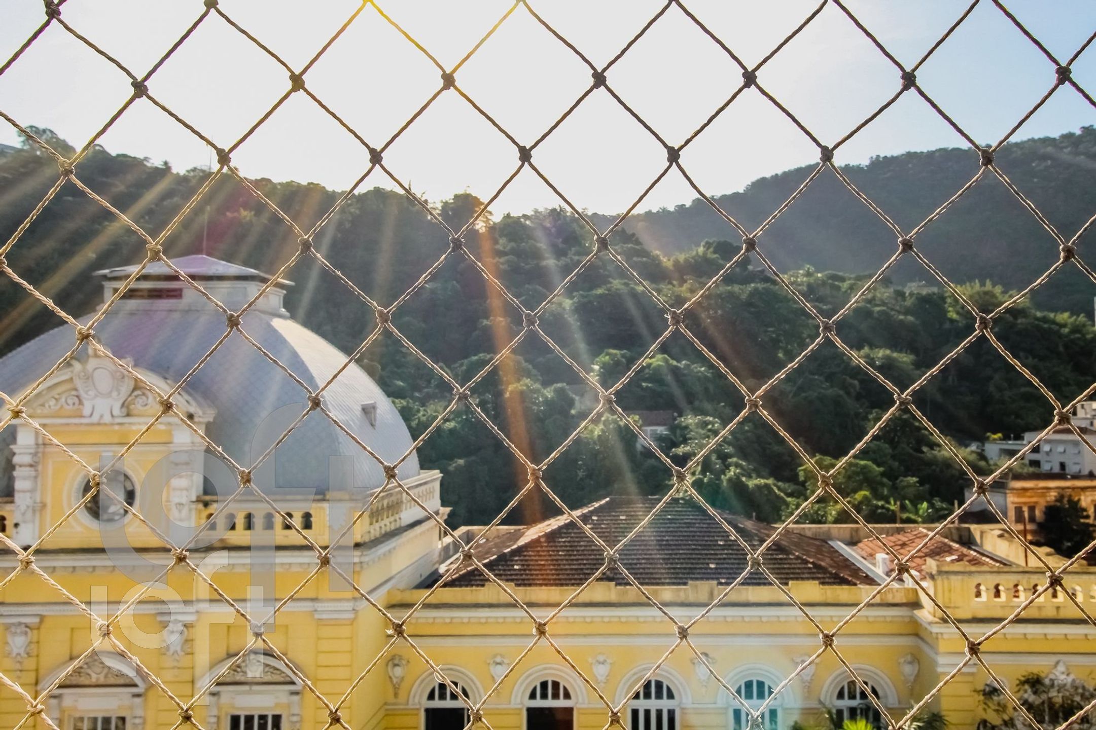 Imagem da propriedade 5