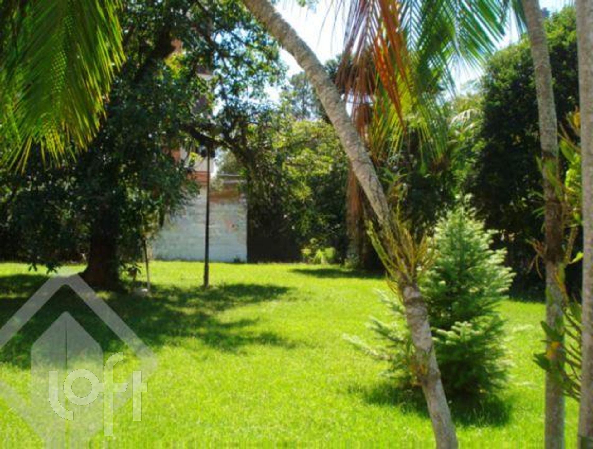 Imagem da propriedade 15